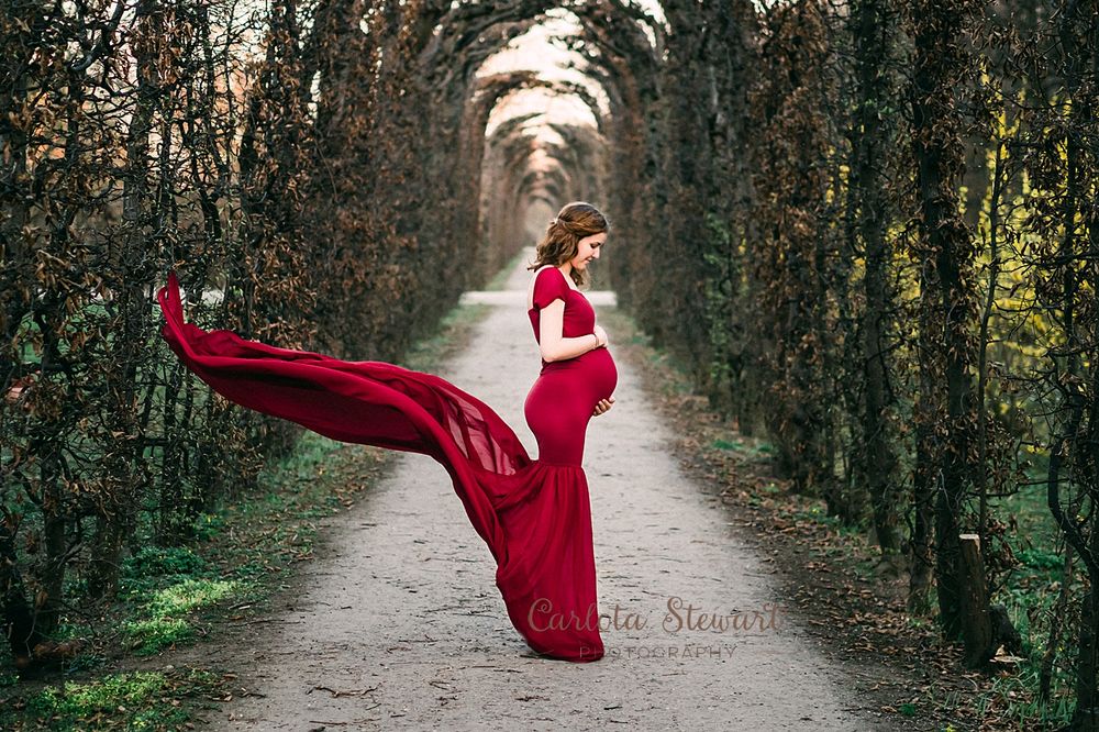 Pregnant woman posing for photo in long red dress in Vienna