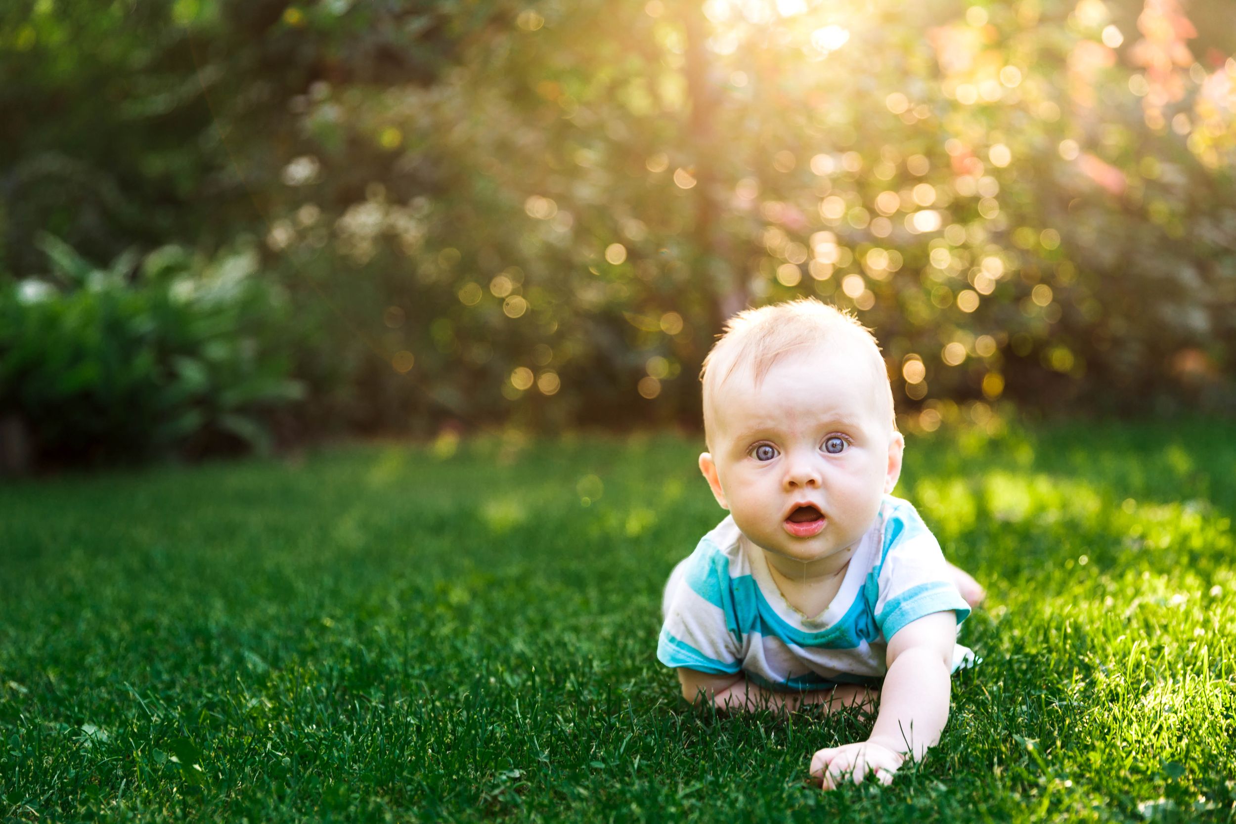 6 month old baby girl on grass