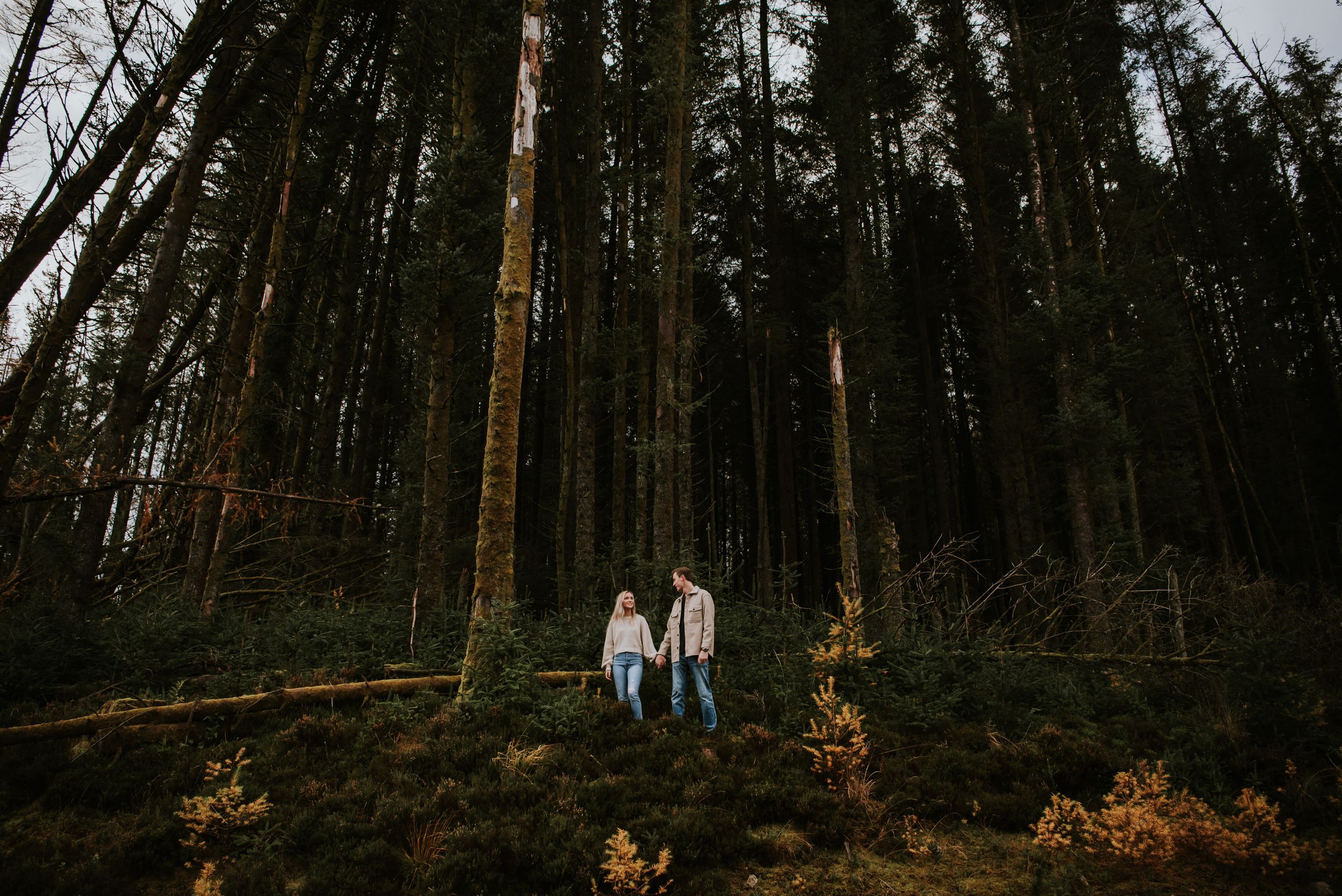 Galloway Forest Engagement Shoot - Scotland Wedding Photographer