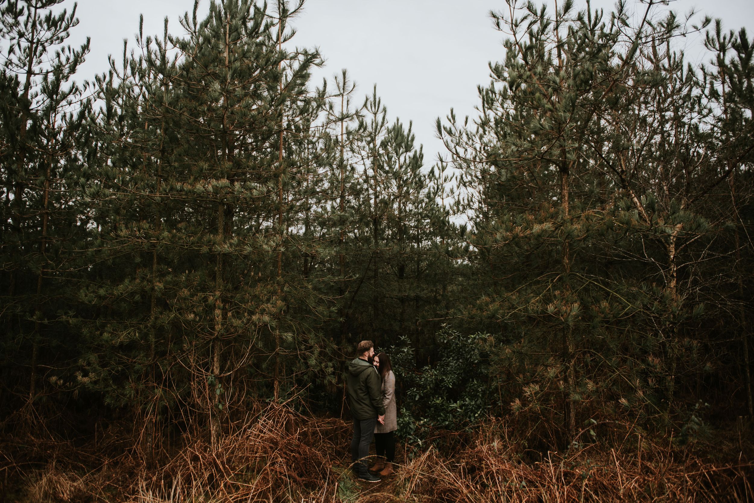 Cannock Chase Engagement Shoot