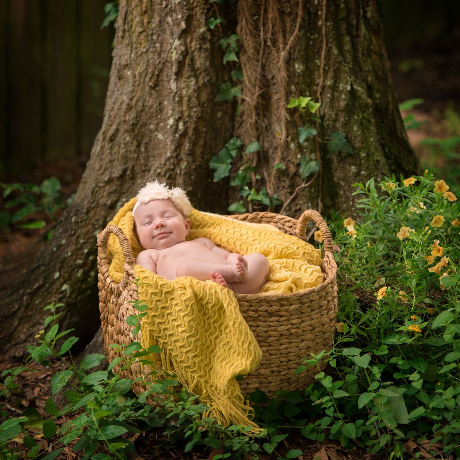 Newborn portrait of baby girl in a basket with yellow blanket, oak trees and flowers
