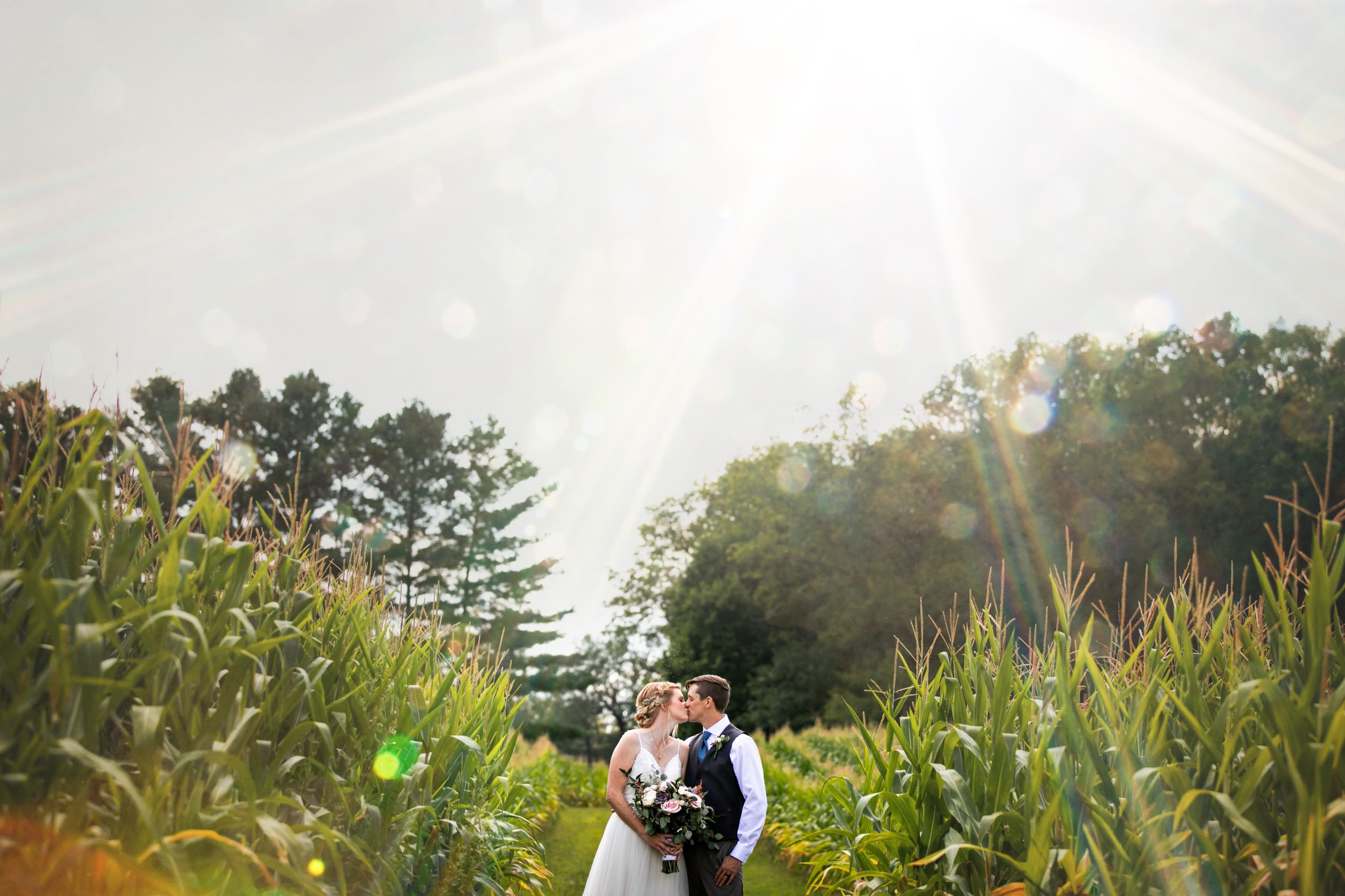 Charming rustic backyard wedding in Mount Brydges Ontario by London photographer Shawn Van Daele