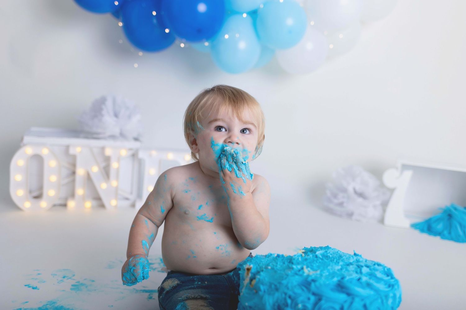 Cakesmash Photographer, Waukesha, Hartland, Milwaukee, Sussex, WI