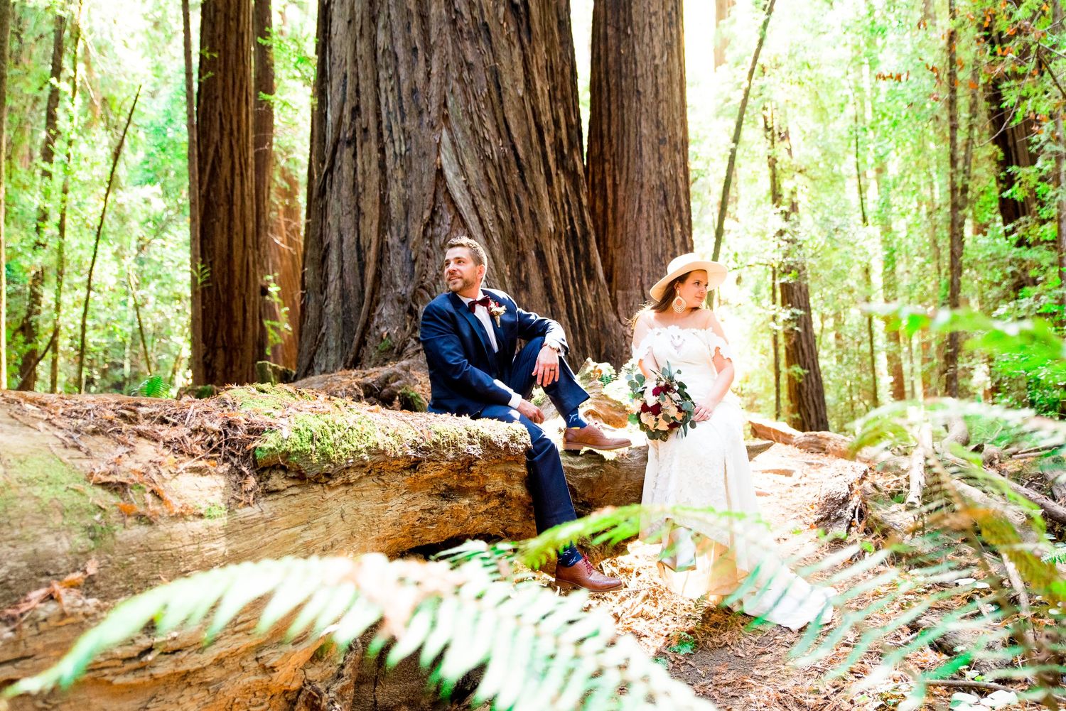 California couple sits on a fallen Redwood Tree in the morning and looks to different sides