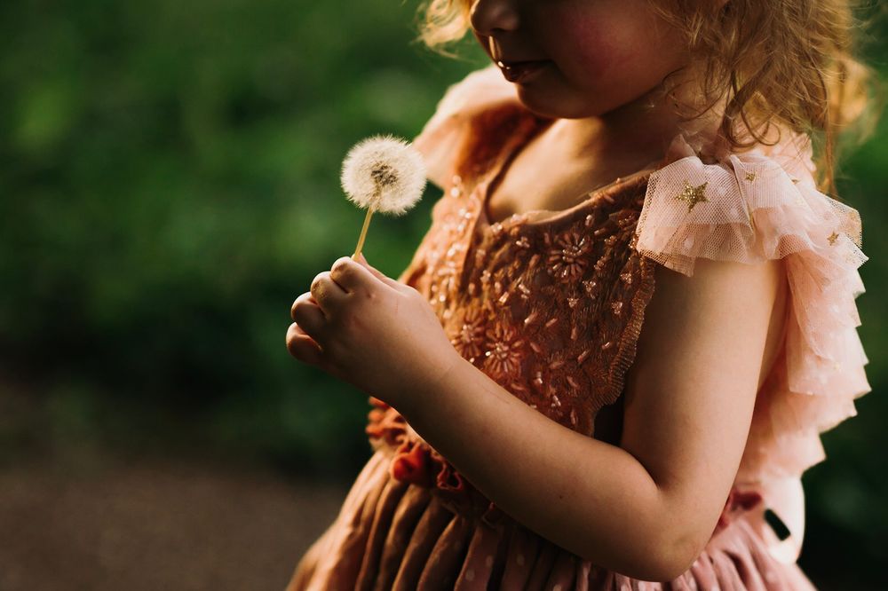 little girl blowing a dandelion flower family photography cincinnati ohio lifestyle photographer dayton near me