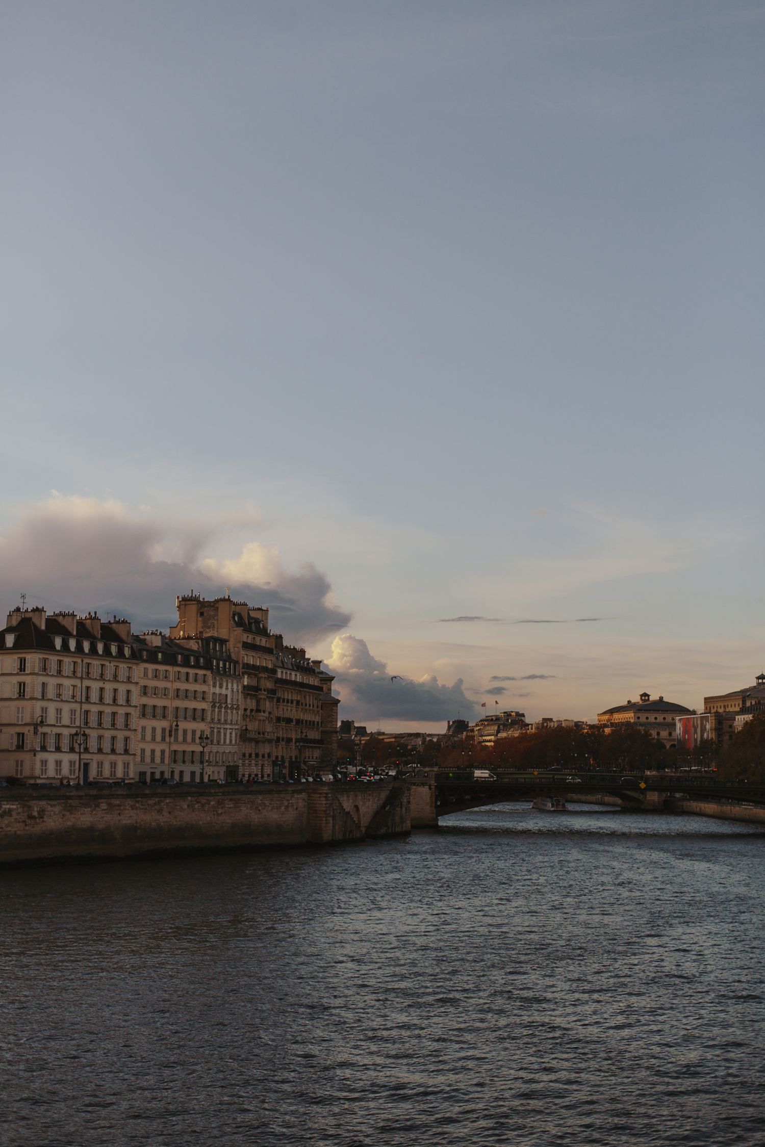 Alvaro Leonel Castro - Paris Photographer - Pont Neuf