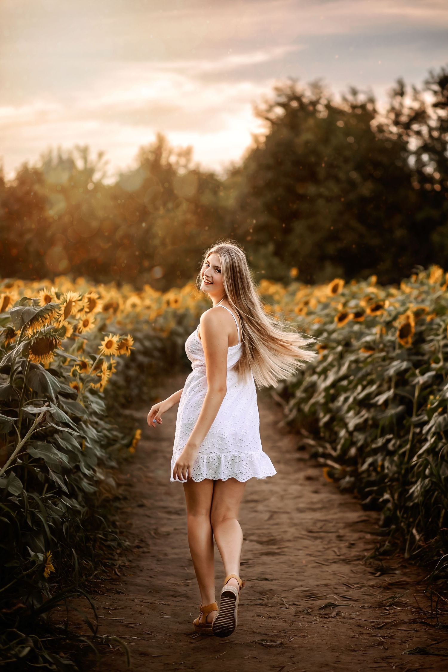 Ohio sunflower sessions