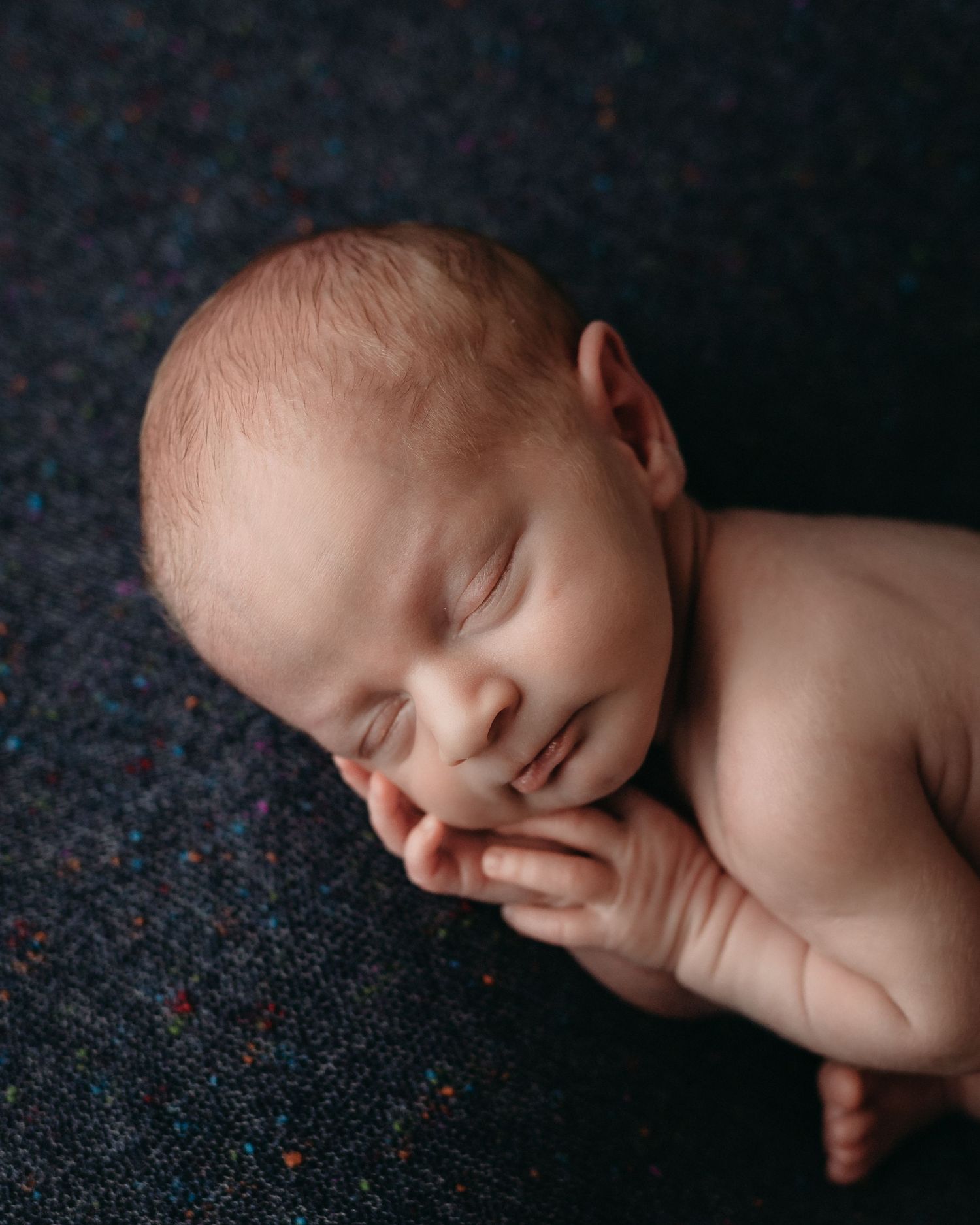 Maine Studio Newborn Photographer, Gallagher Photography, Newborn Boy in Blue