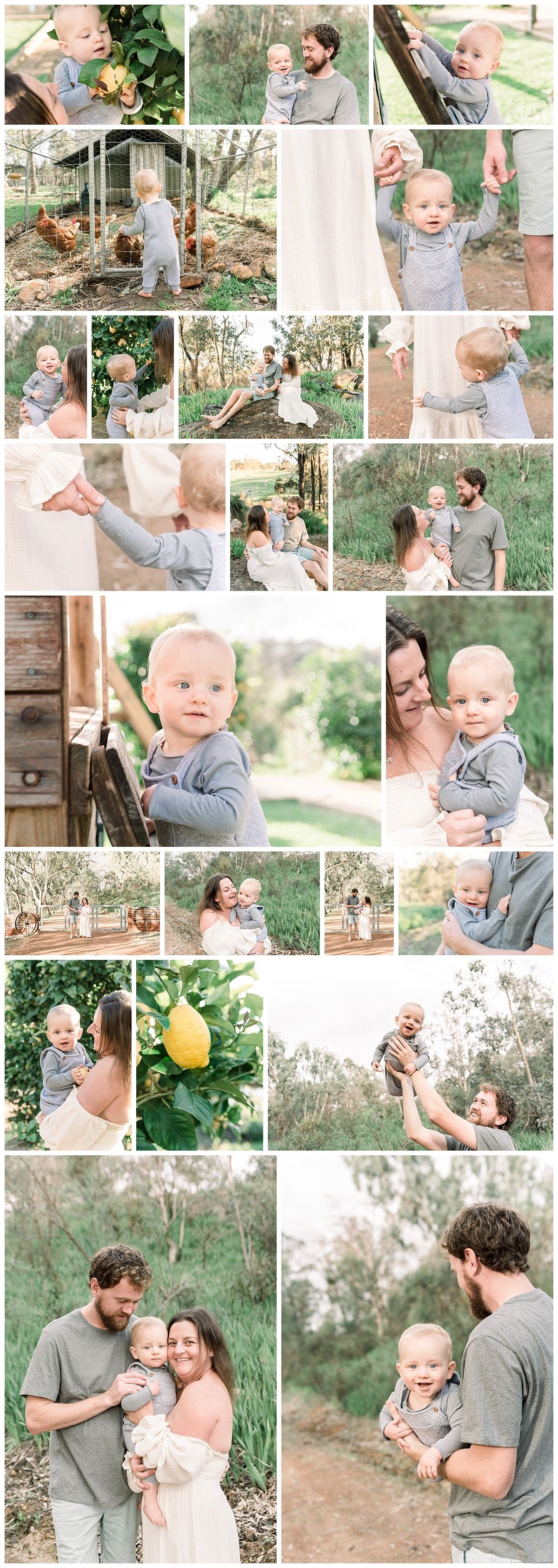 first birthday milestone photography perth