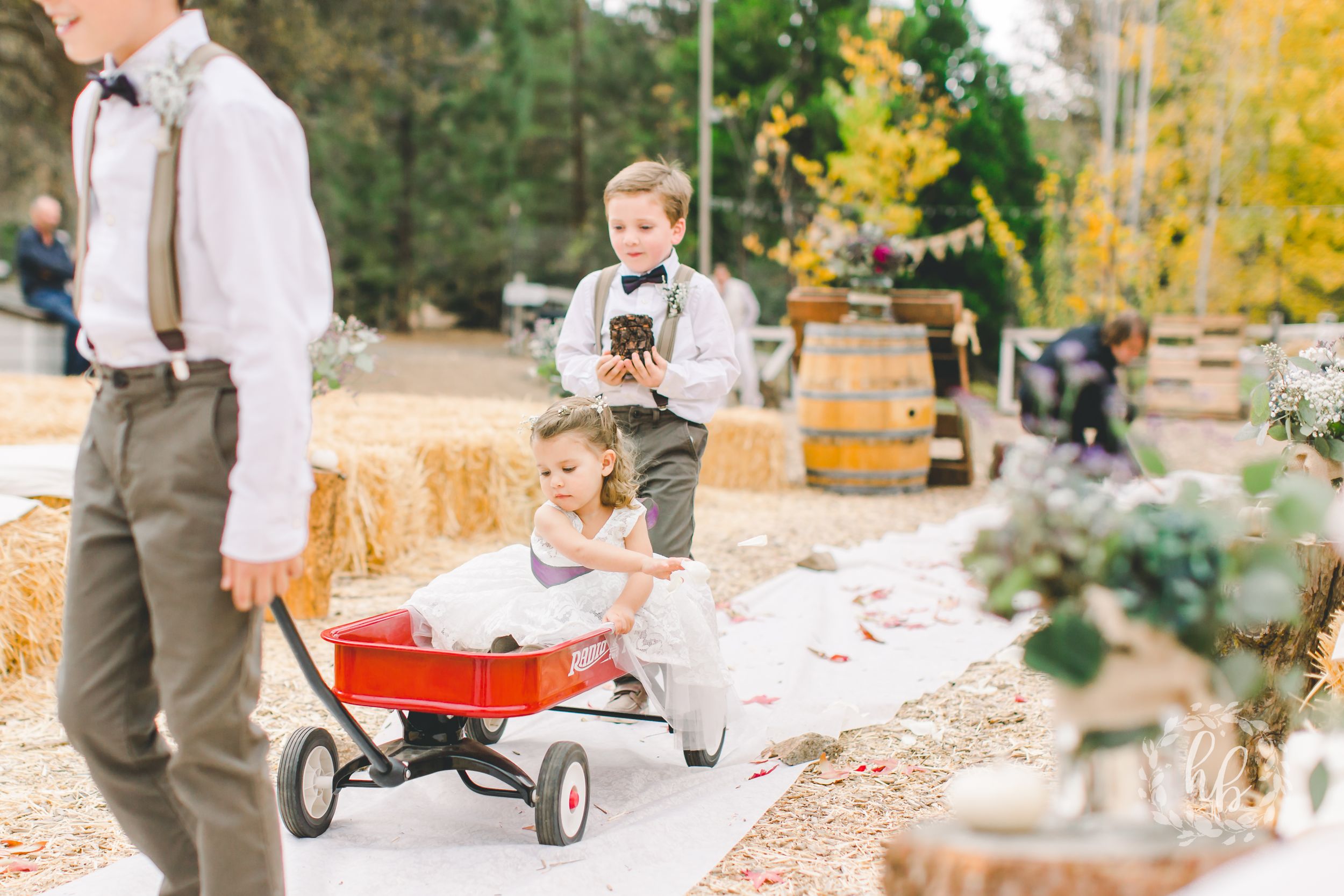 Dorner Family Vineyard Fall Wedding Los Angeles Wedding Photographer