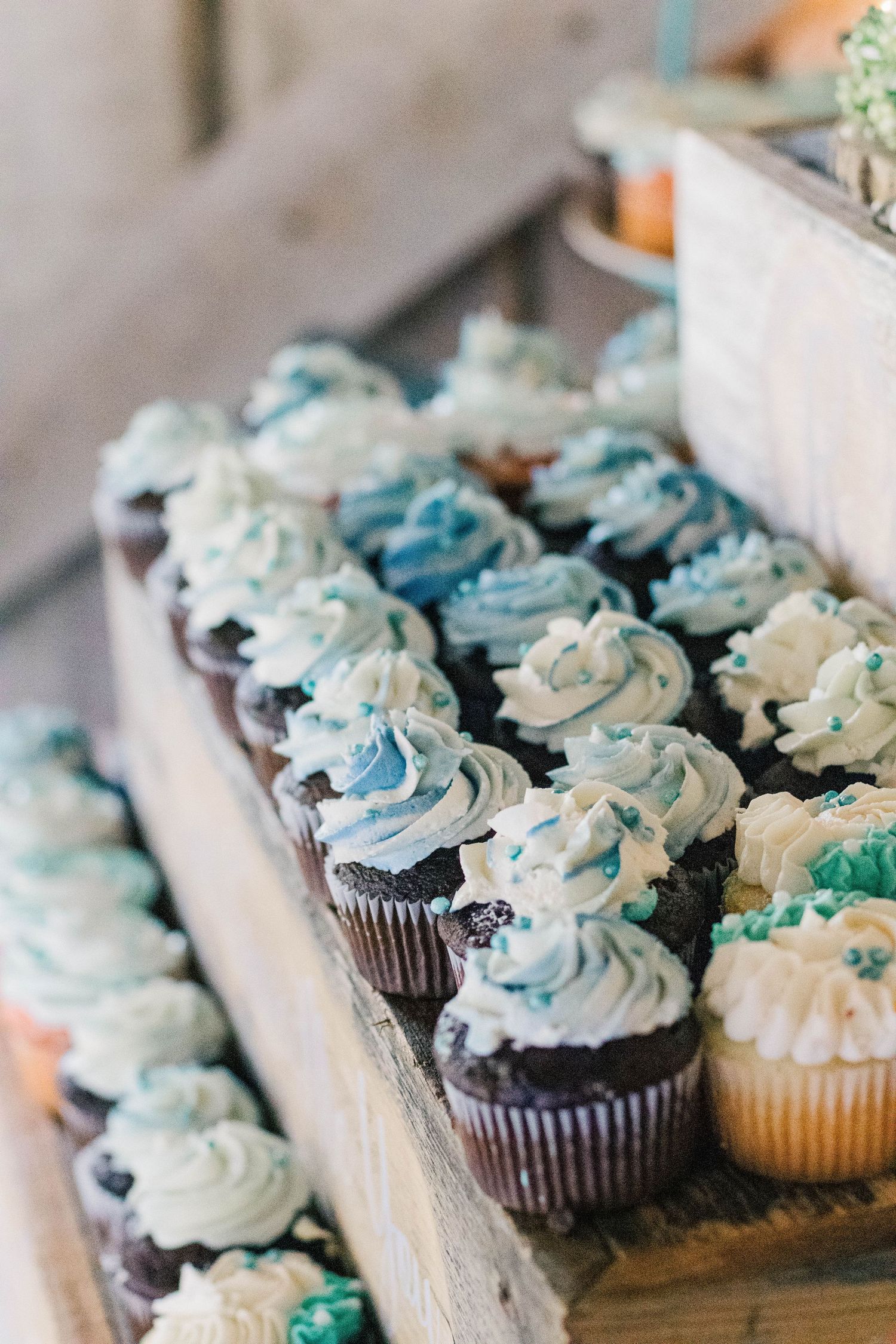 L'Anse Michigan Wedding Photographer Linden Creek Farm Upper Peninsula Wedding Photographer