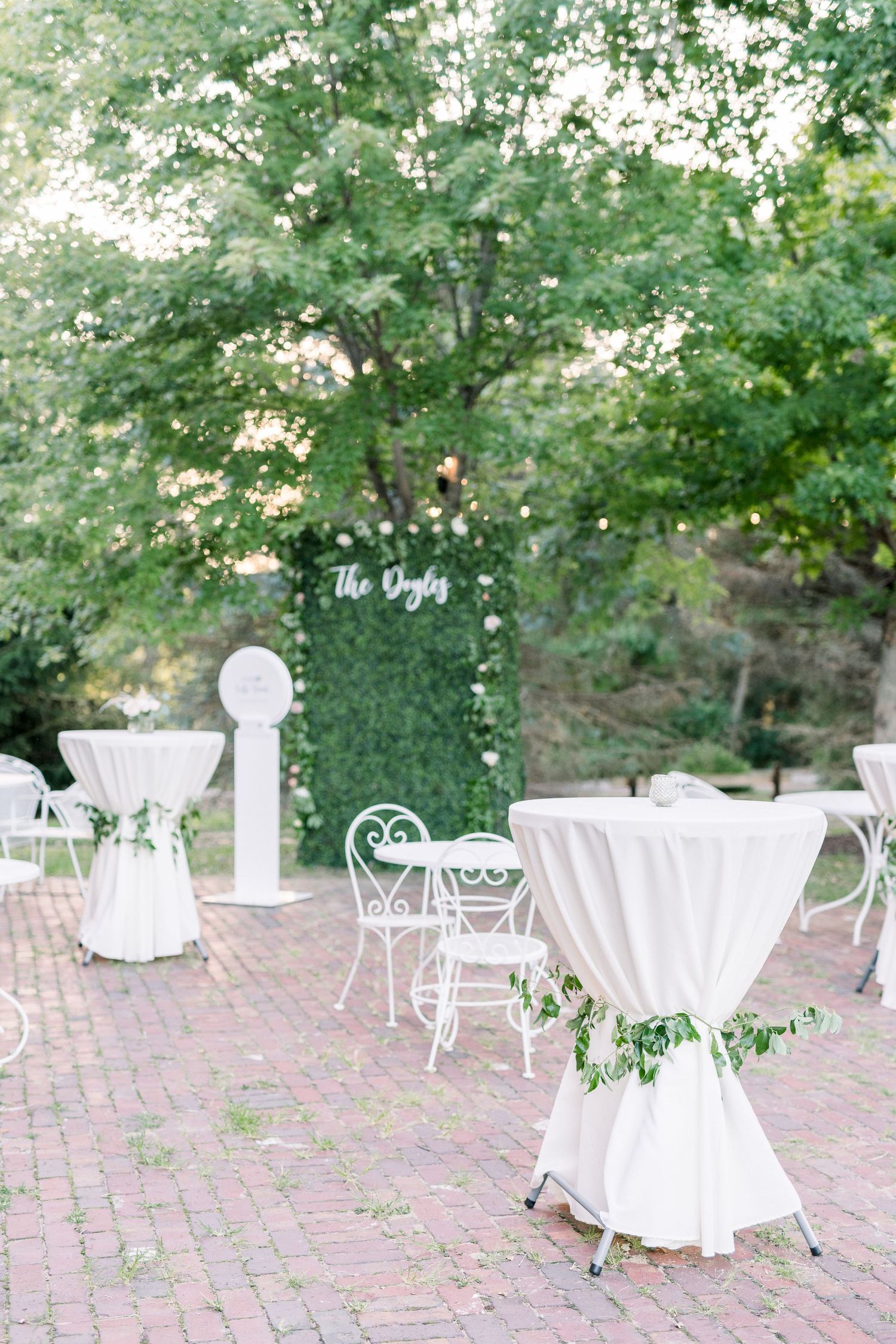 Vineyard photos with white willow events at Prairie Moon Winery wedding in Ames, Iowa