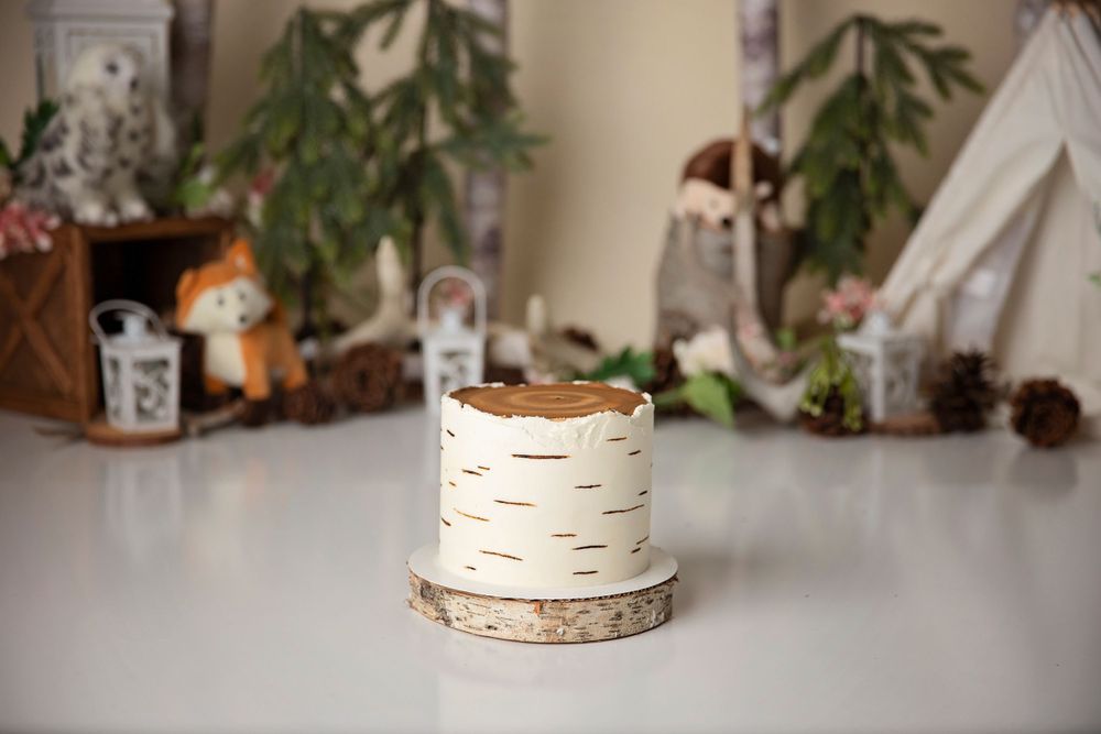 tree log cake smash