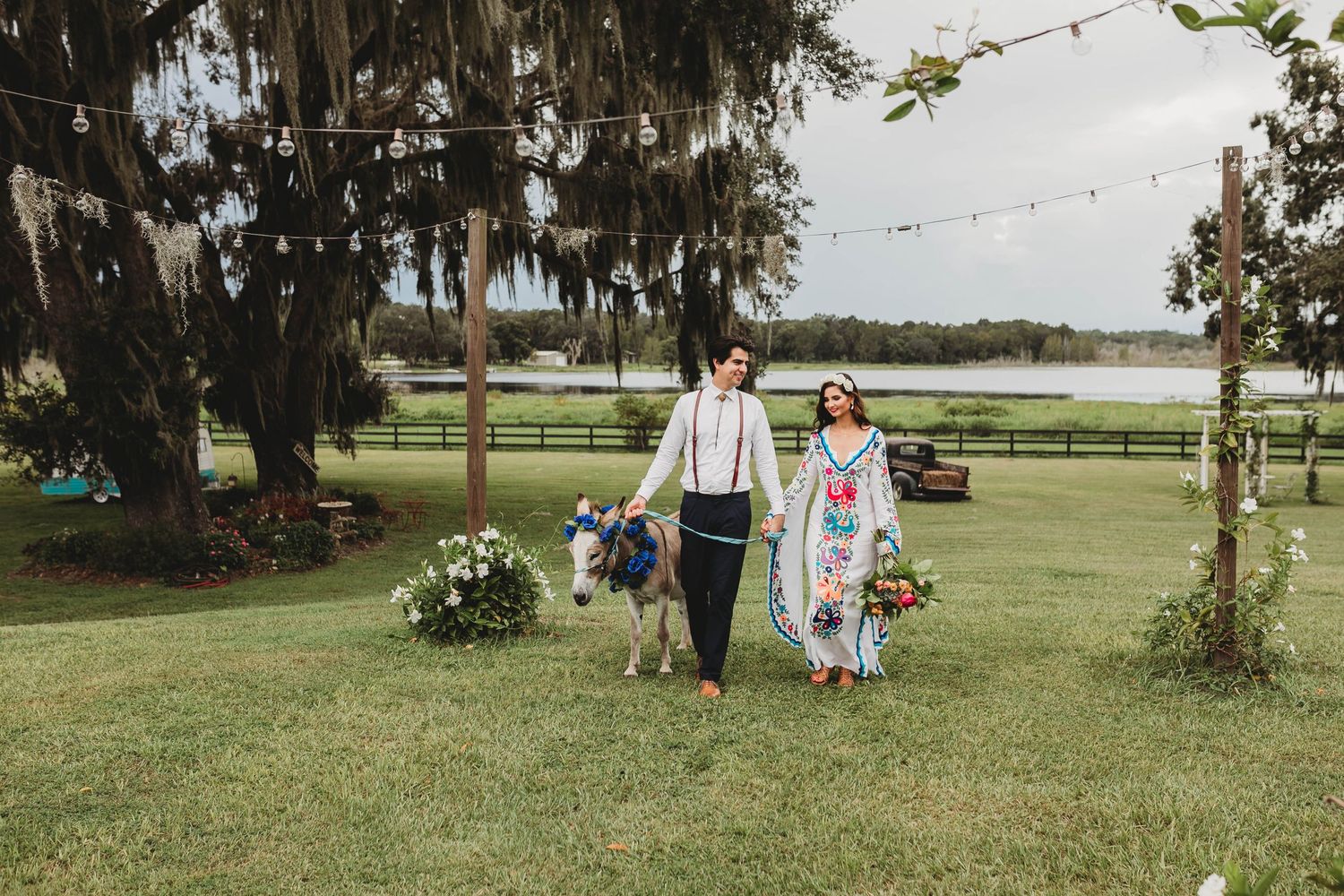 wedding couple, walking donkey outdoors