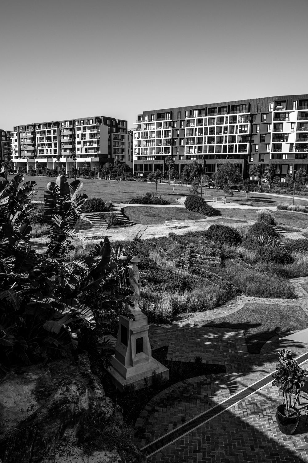 Black and white urban landscape showing modern apartment buildings in Harold Park. SIX84 Photography, Architectural Photography, Sydney