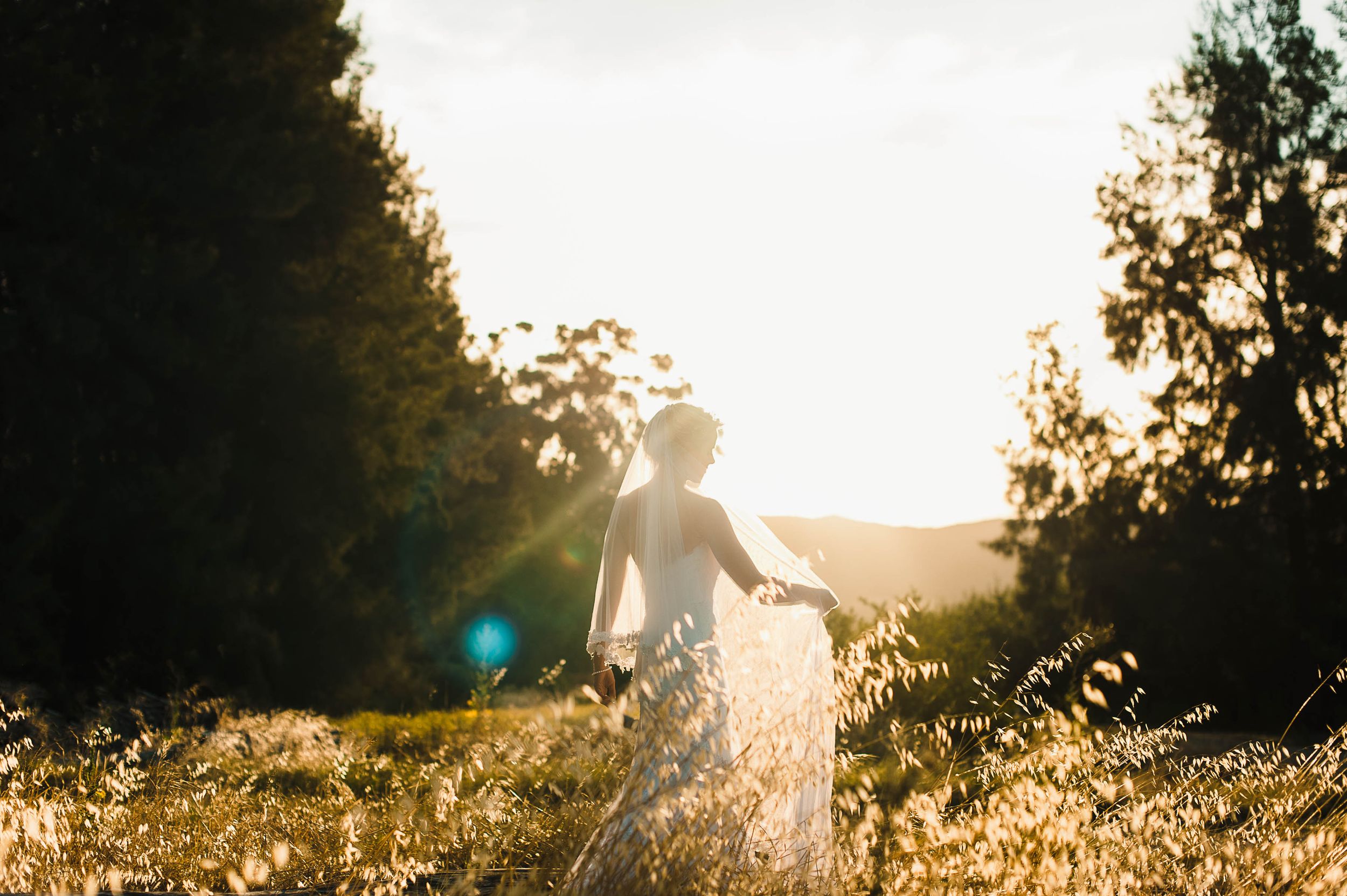 bride in tall grass at sunset
