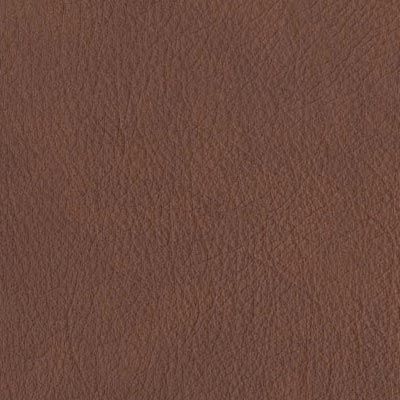 chocolate distressed leather album colour swatch