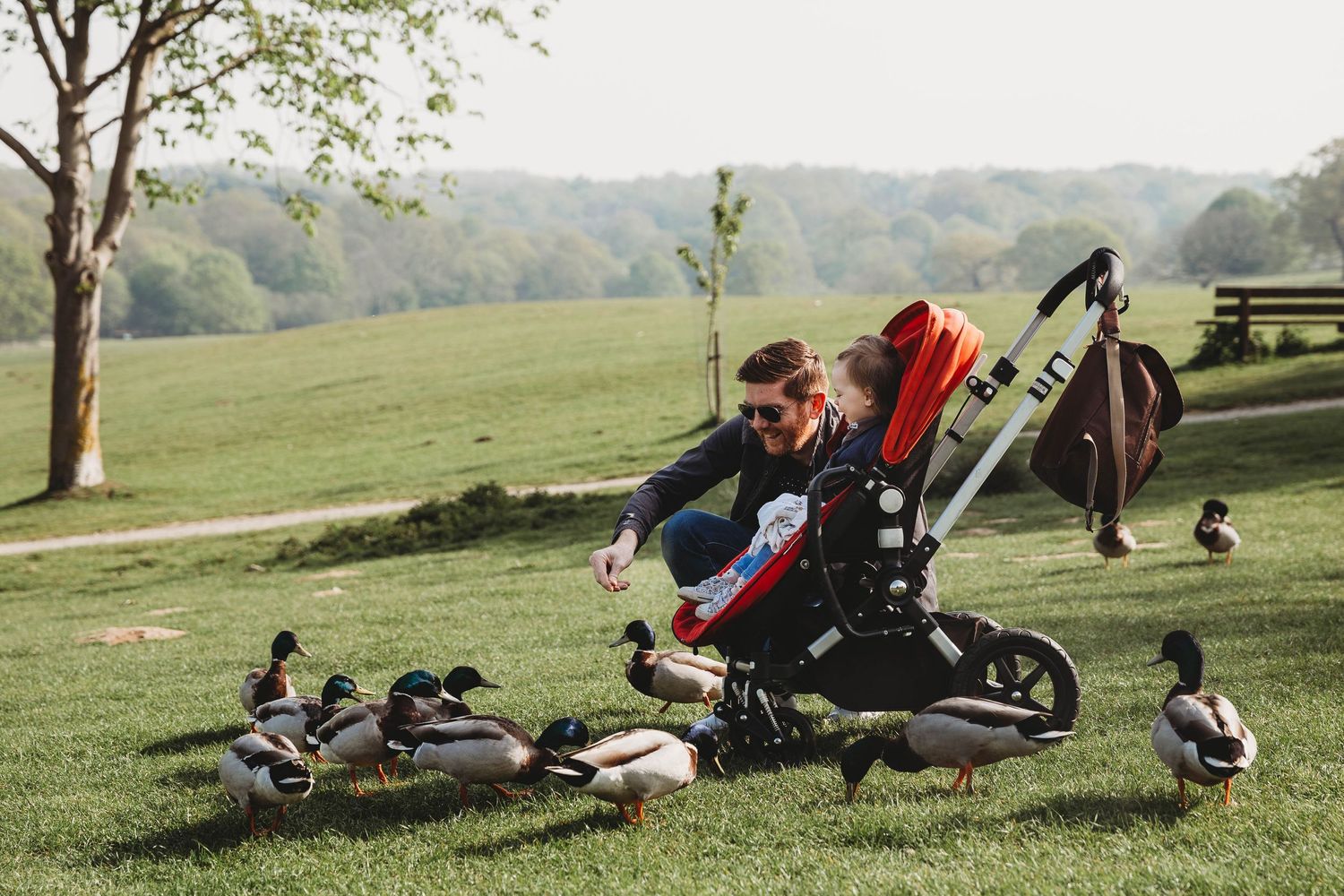 dad feeding ducks in south weald country park