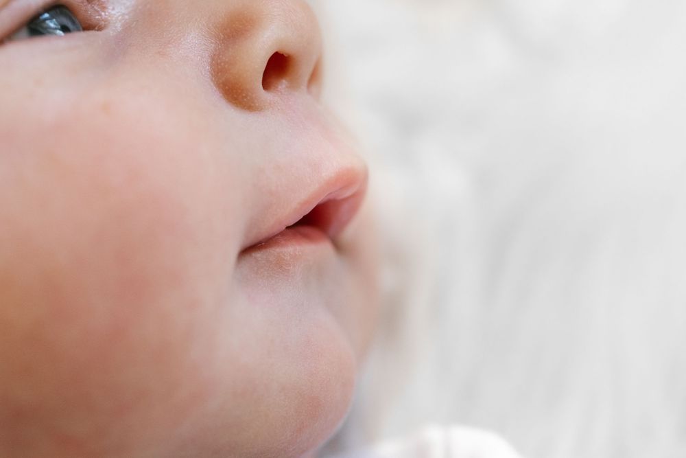 Milwaukee Wisconsin Newborn Photographer