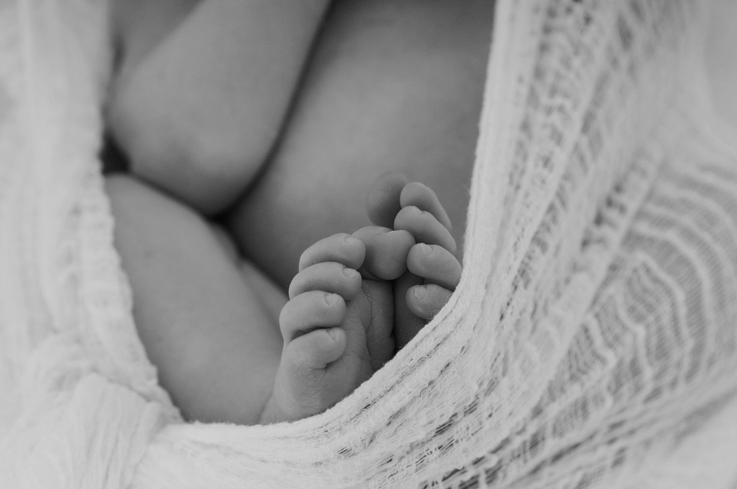 Newborn baby toes by devon newborn photographer Melanie Barnfield