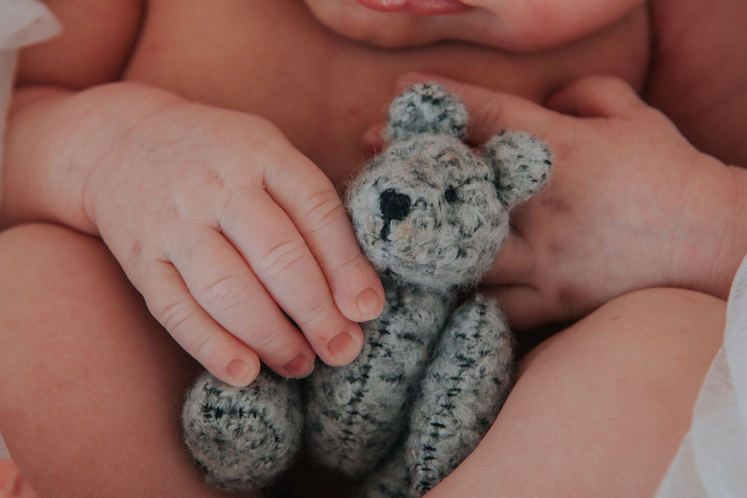 Newborn baby holding teddy by newborn photographer Melanie Barnfield