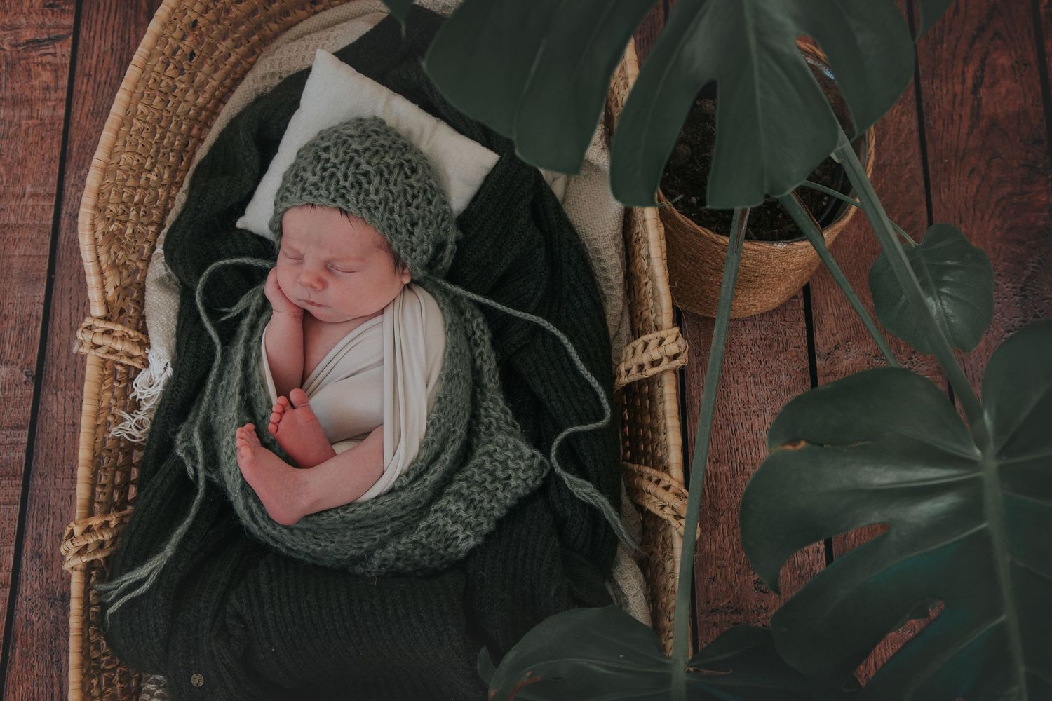 Newborn baby with plants and hat by Melanie Barnfield Photography