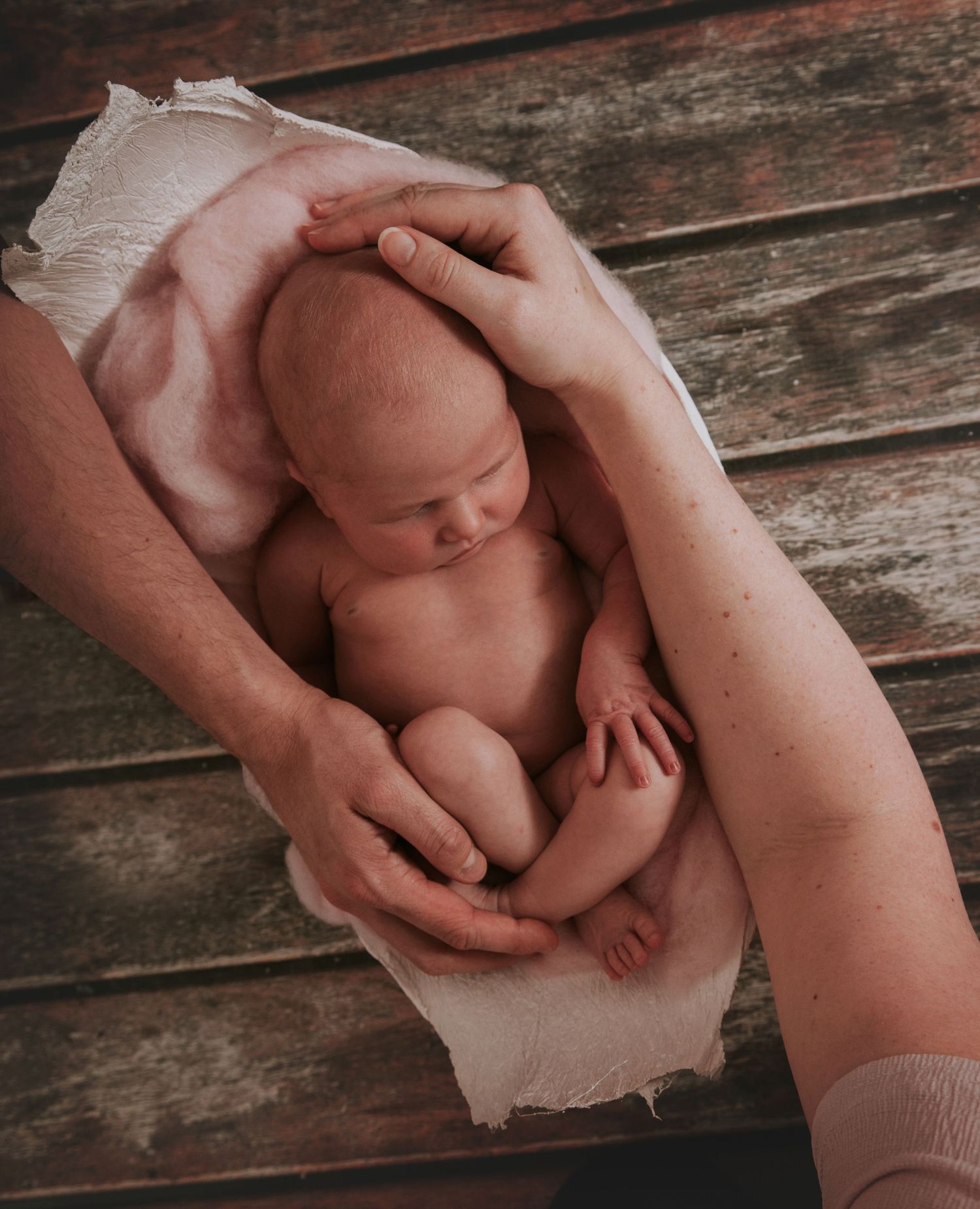 Newborn baby in bump cast surrounded by mummy and daddys hands by devon newborn photographer Melanie Barnfield