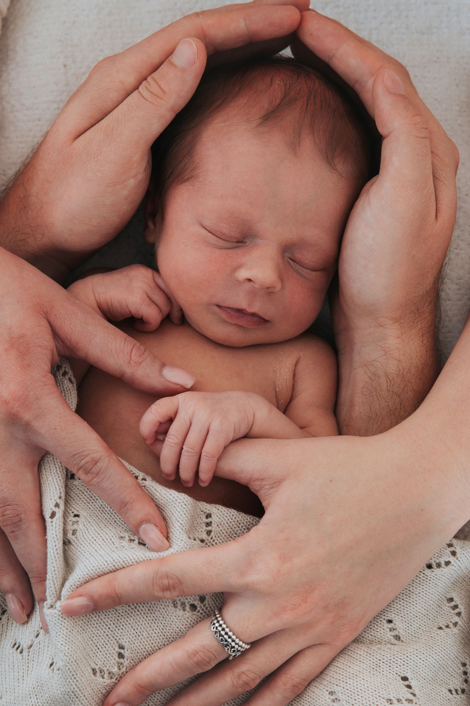 Newborn baby wrapped in families hands by devon photographer Melanie Barnfield