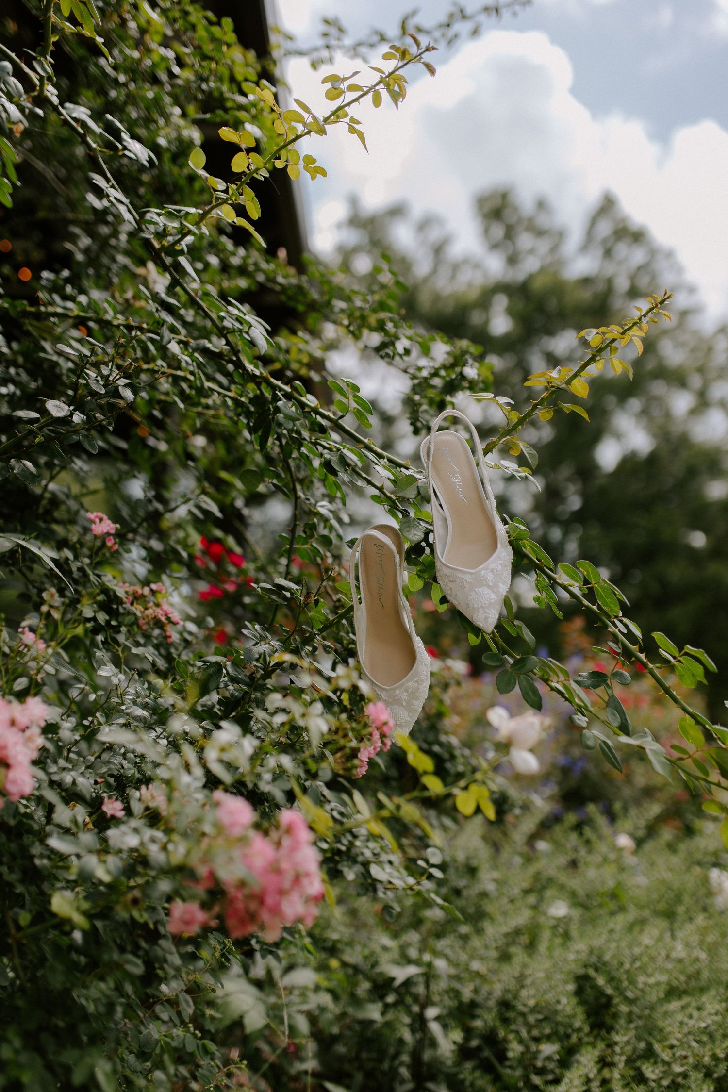 White bridal shoes hanging on leafy branches with pink roses and greenery in a romantic garden setting.