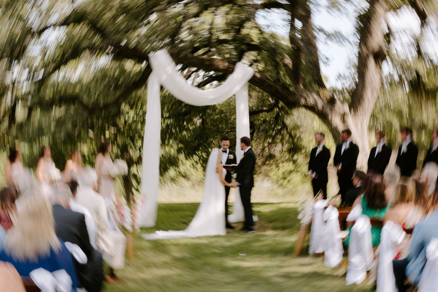 Joyful wedding celebration captured in motion blur under tree canopy.
