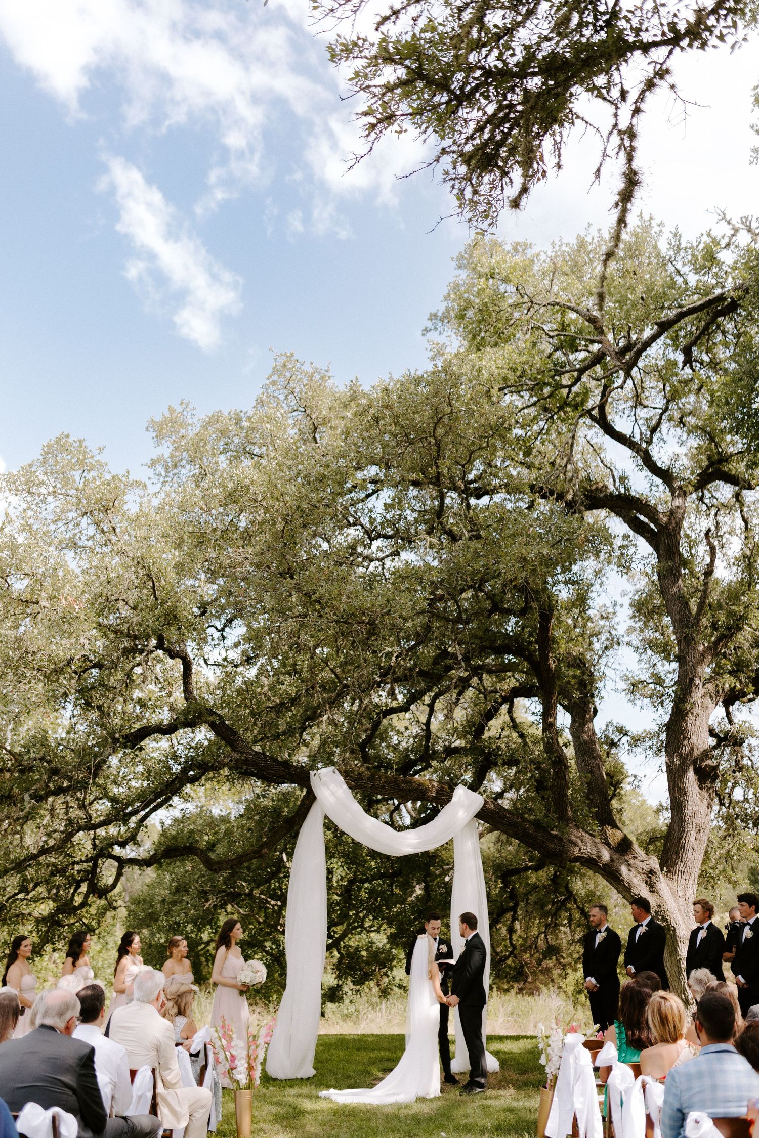Outdoor wedding ceremony under draped white arch with large oak trees overhead.