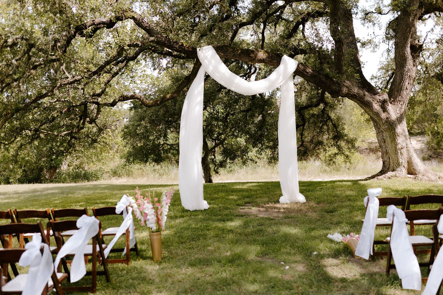 Elegant outdoor wedding ceremony setup with white draped arch and wooden chairs under oak trees.