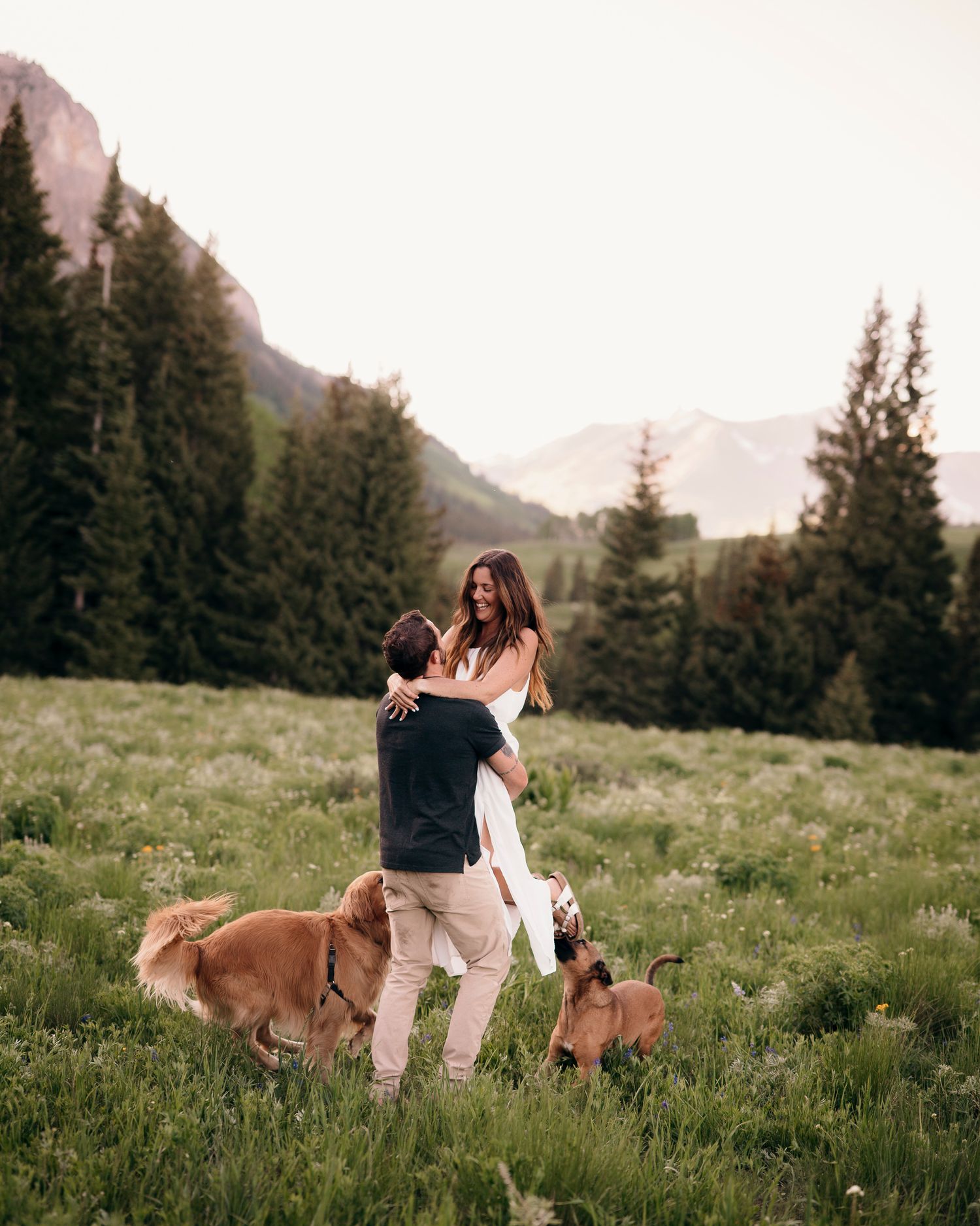 Couple embracing in mountain meadow with two golden retrievers beside them.