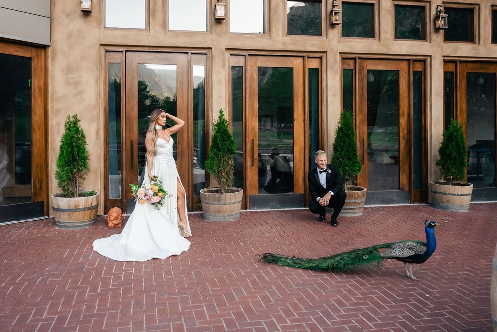 A bride in a white gown poses outside glass doors while a peacock walks on brick pavers near potted cypress trees.