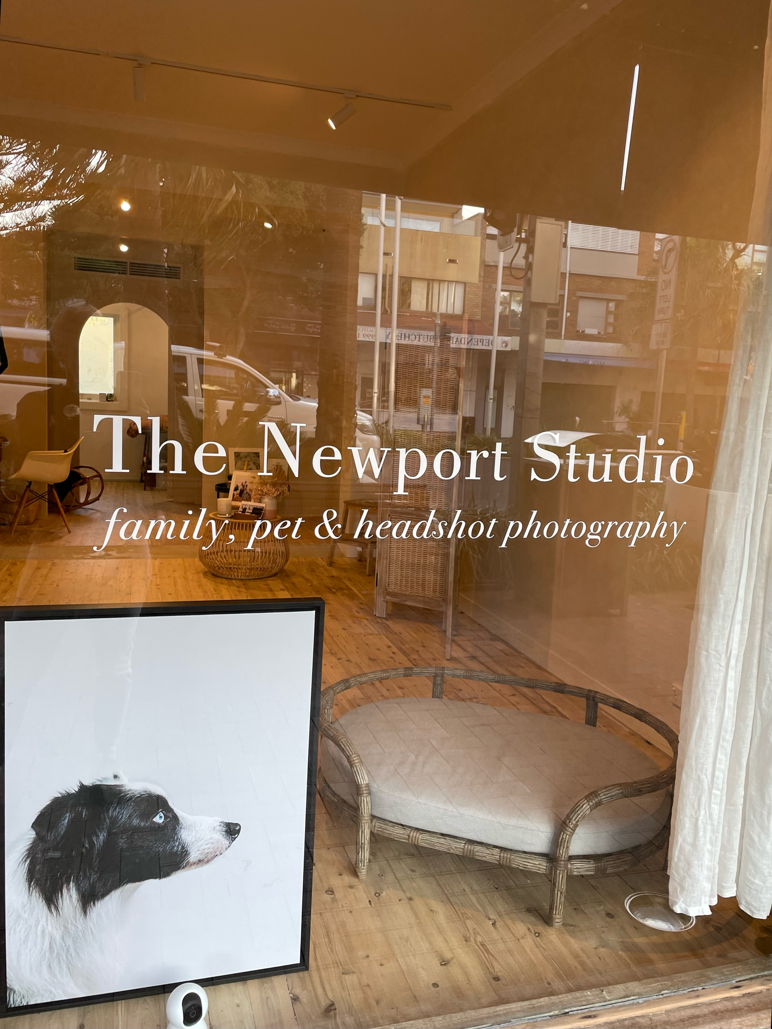 Newport Studio storefront window displaying family photography services with a black and white dog portrait.