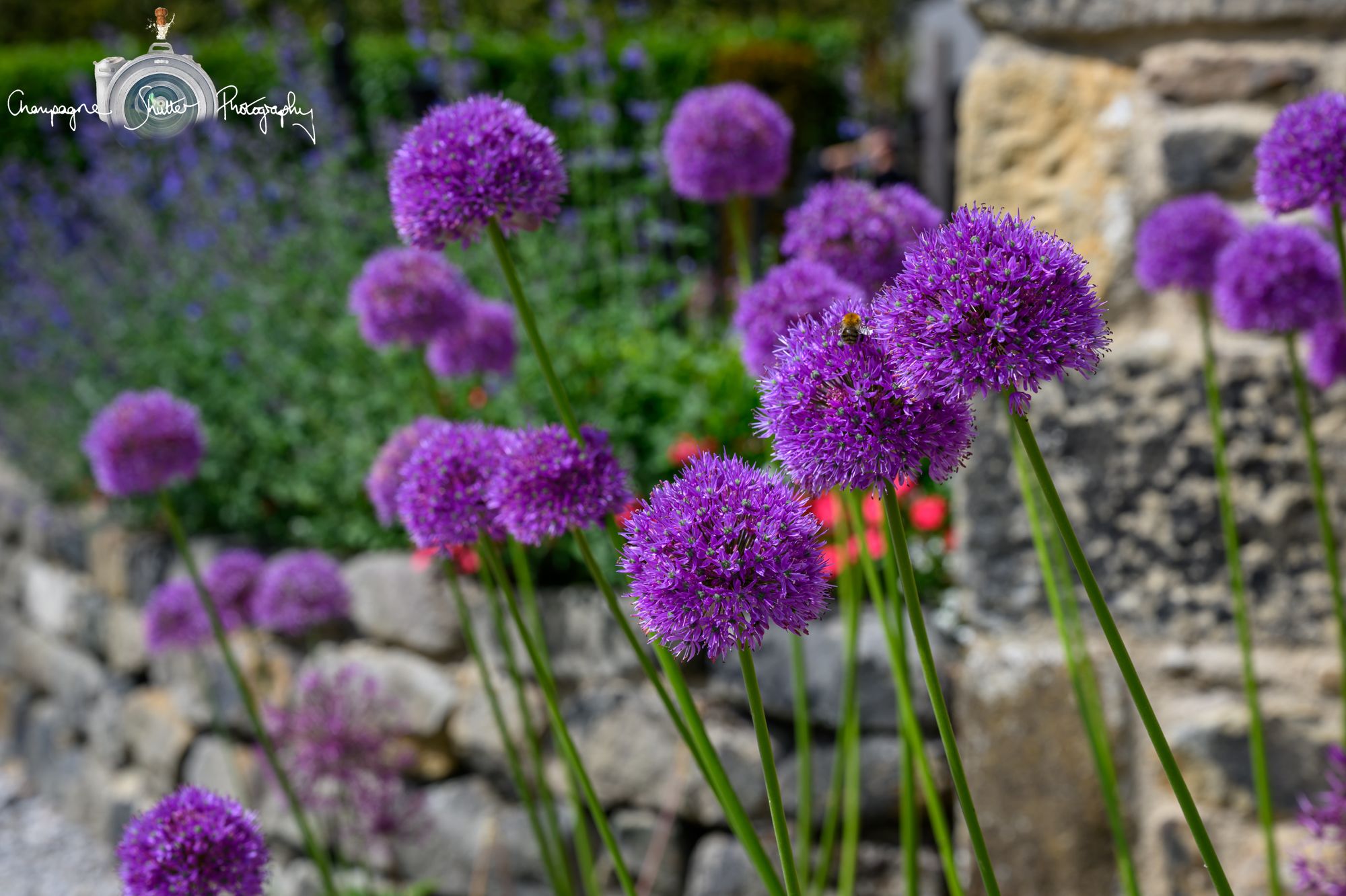 The Tithe Barn | Wedding Venue | Bolton Abbey | Skipton | North Yorkshire | Wedding Photographer
