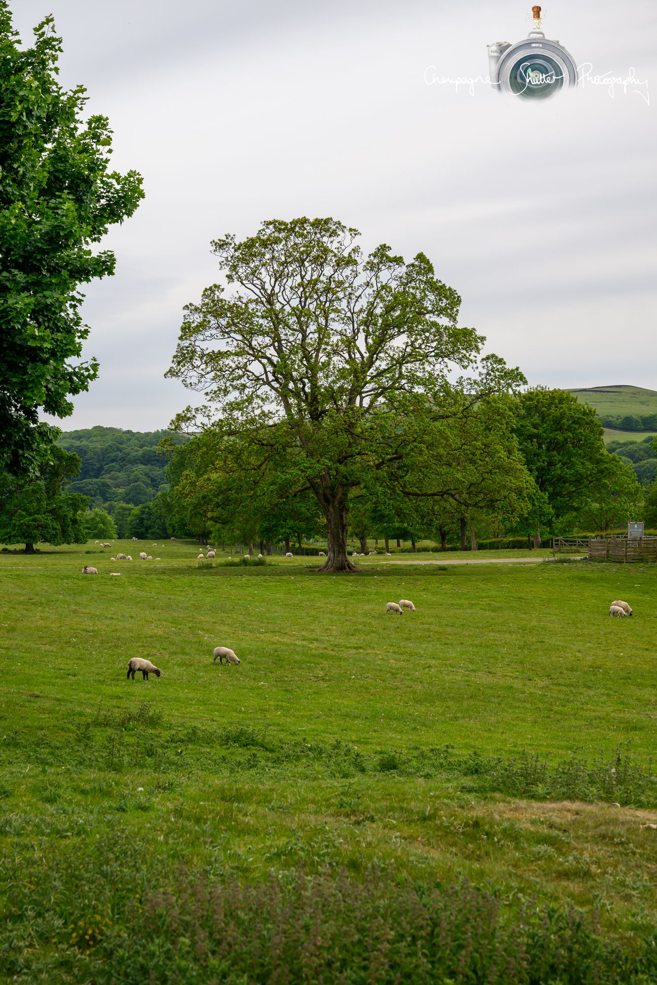 The Tithe Barn | Wedding Venue | Bolton Abbey | Skipton | North Yorkshire | Wedding Photographer