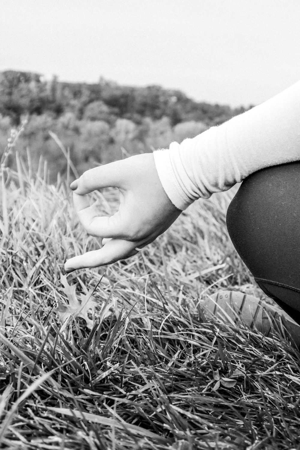Hand gently touching grass in black and white photography.