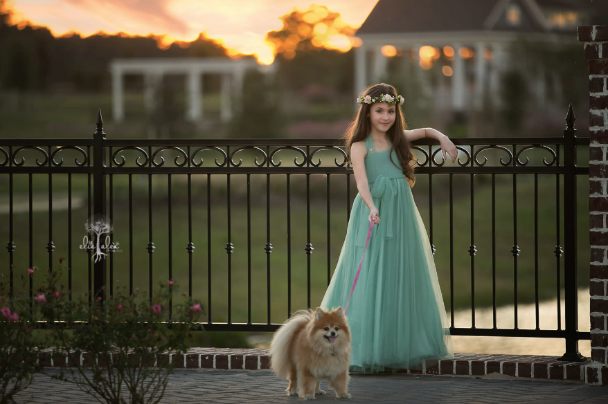 Person in flowing turquoise gown stands by iron gate with Pomeranian dog at sunset.