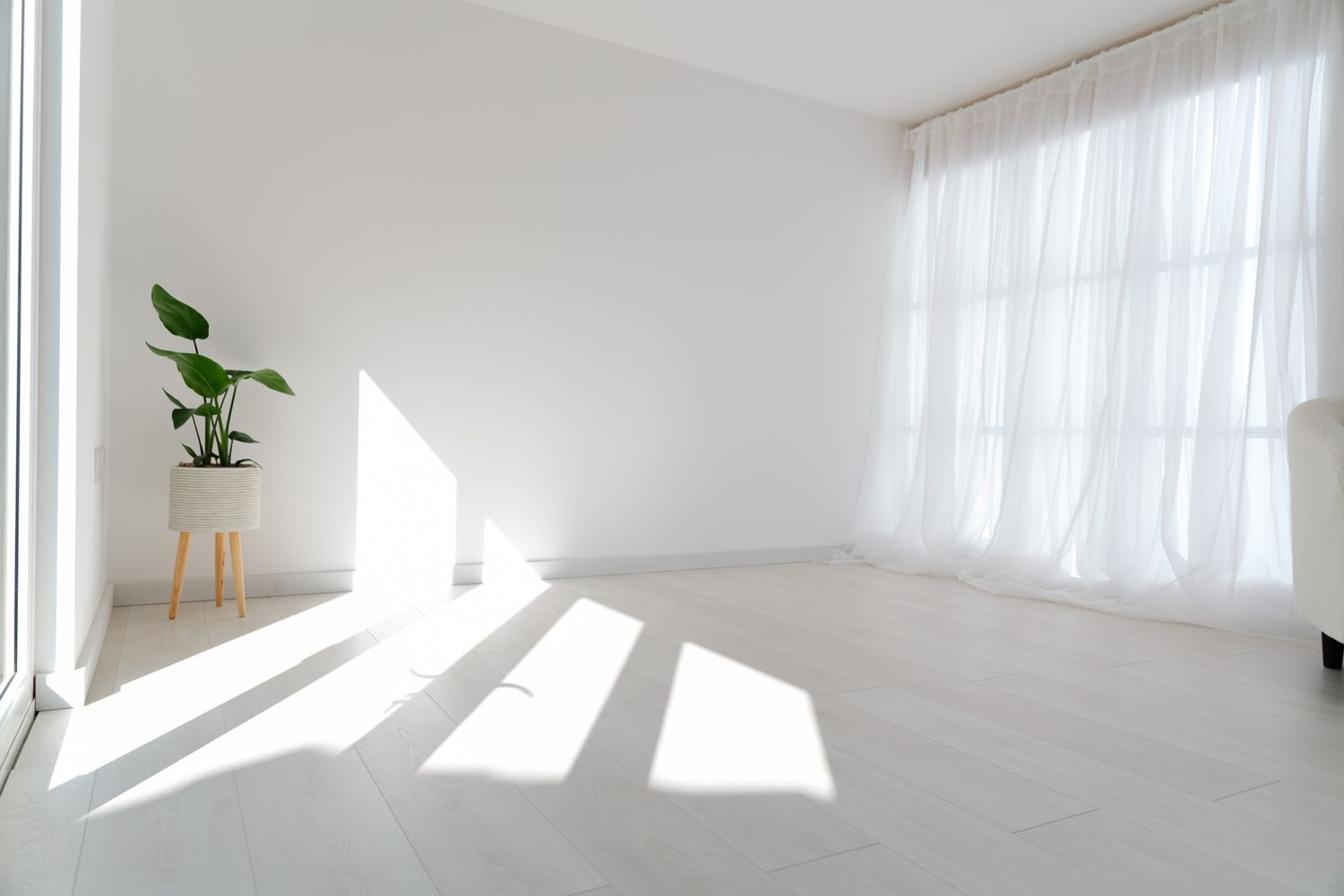 Bright white minimalist room with sunlight streaming through sheer curtains and a small potted plant on wooden stand.