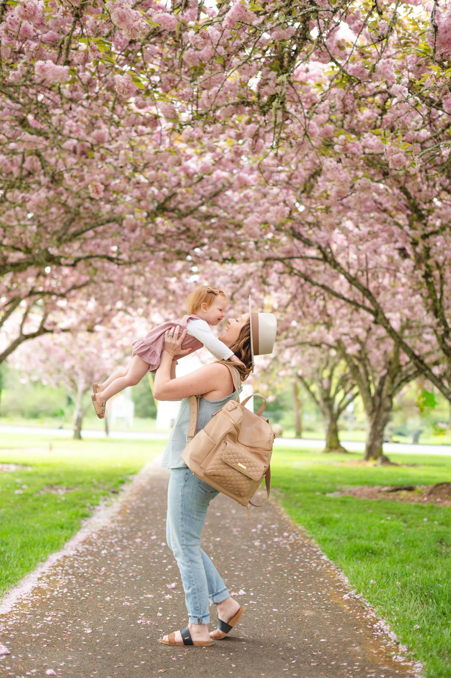 Spring scene with blooming cherry trees along pathway in park.