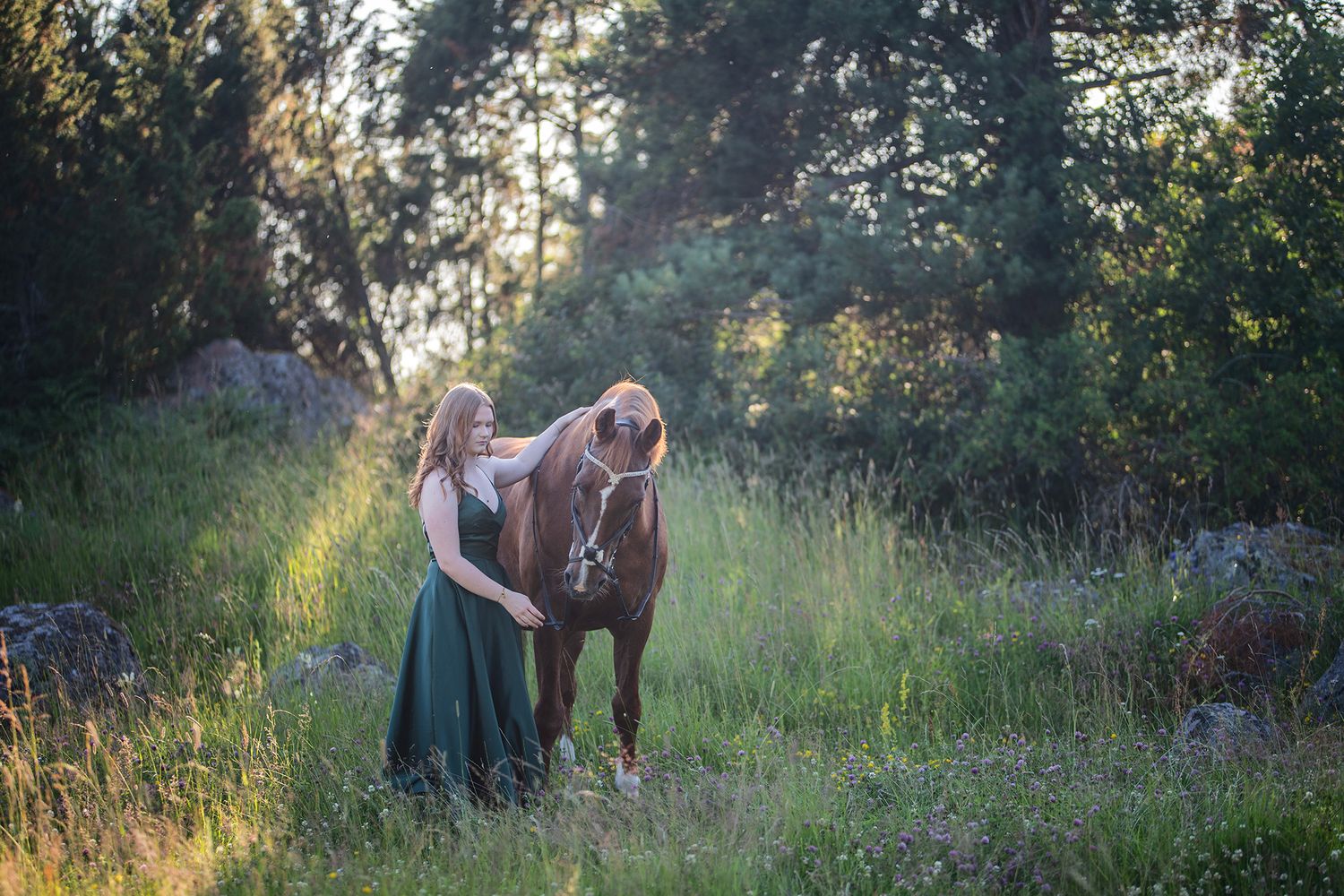 sunset, horse, dress