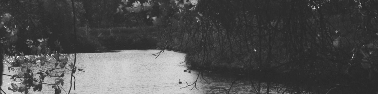 Film Photography