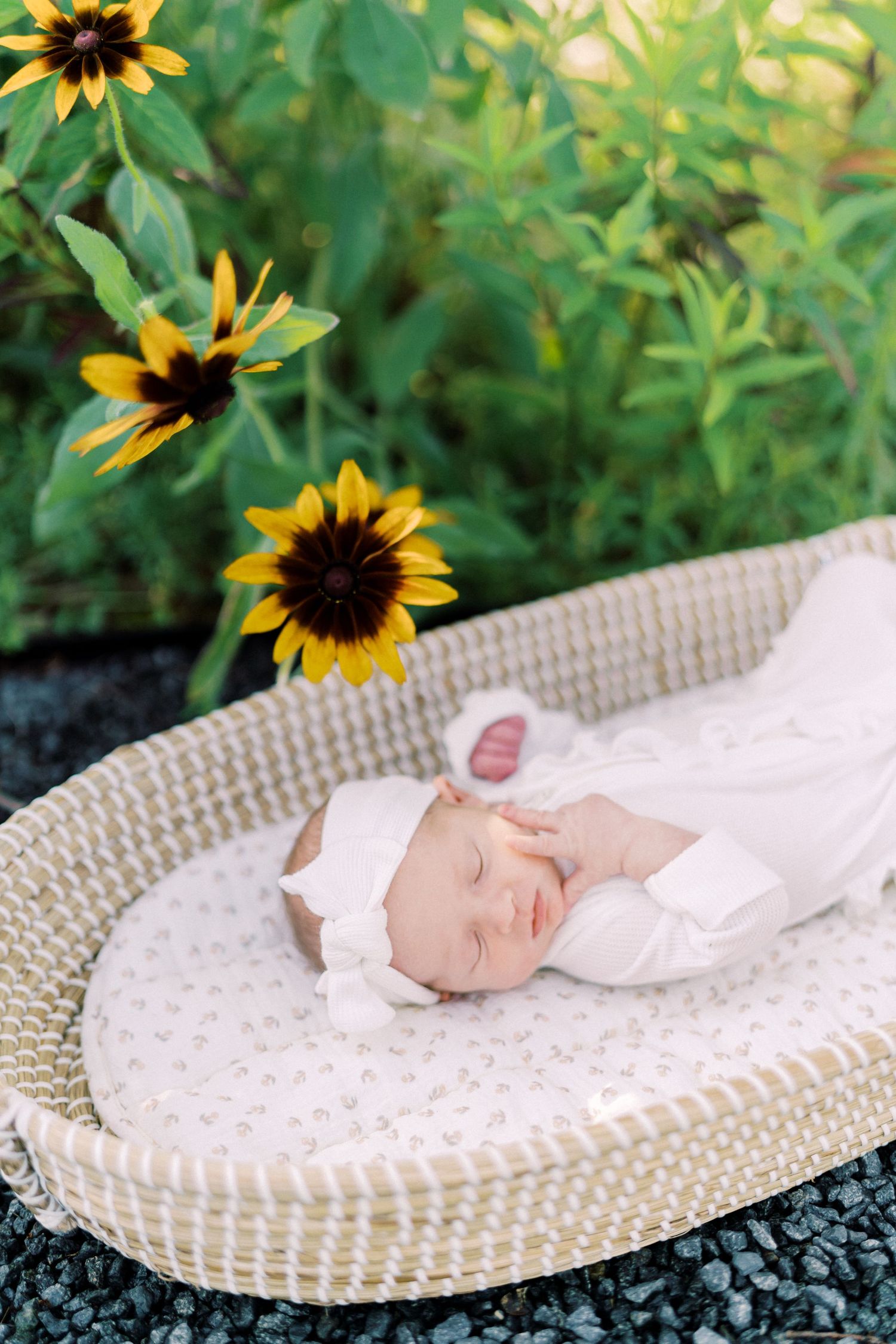 A sleeping infant in white clothing lies in a woven basket surrounded by vibrant sunflowers.