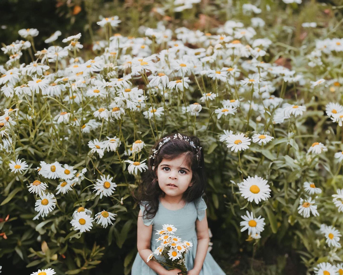 Daisies Elizabeth Lang Photography Cloverdale garden photos. Outdoor family photos in Surrey. Motherhood portraits.