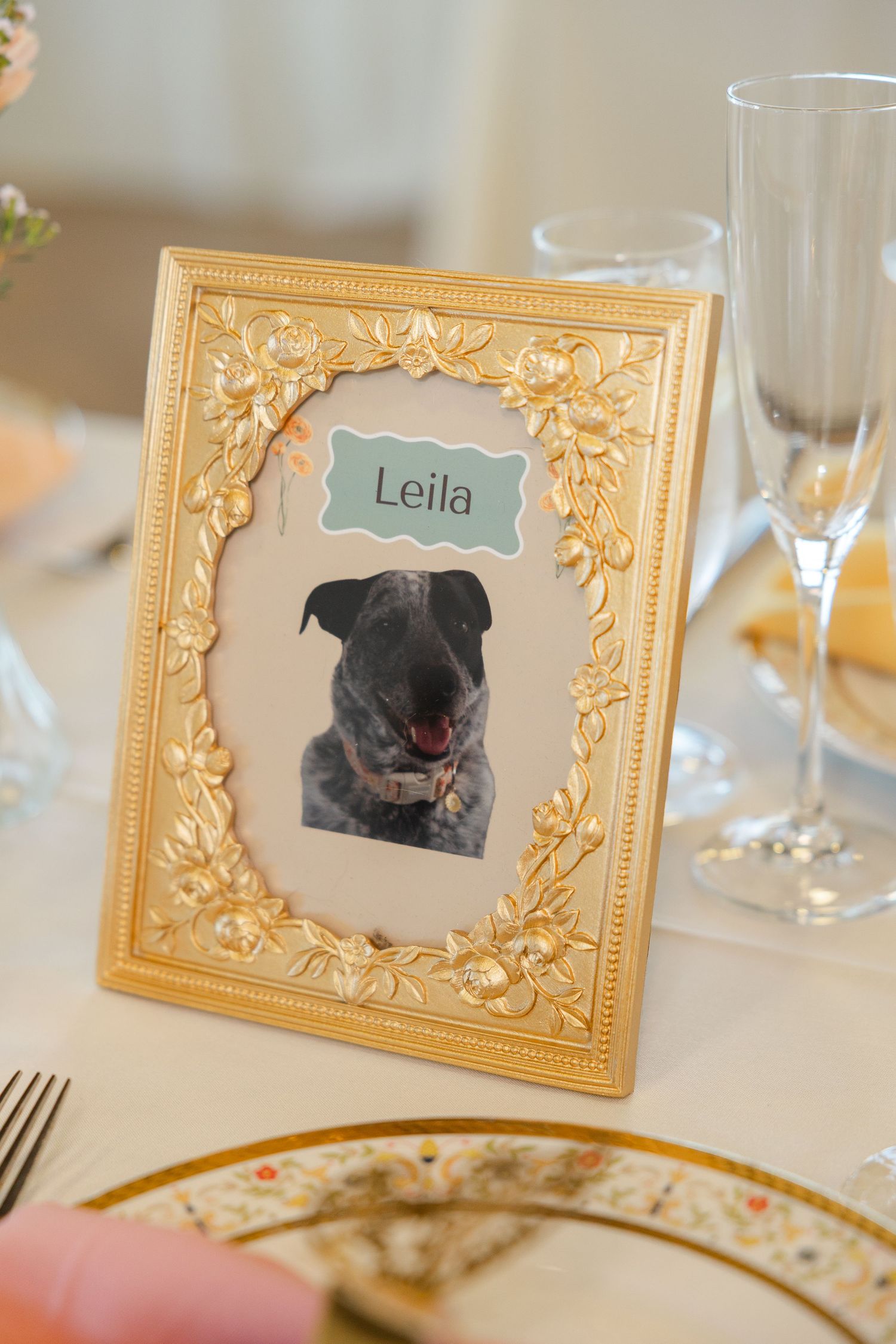 Wedding reception table with framed cat photo in ornate gold frame and pink roses in blue mason jar centerpiece.