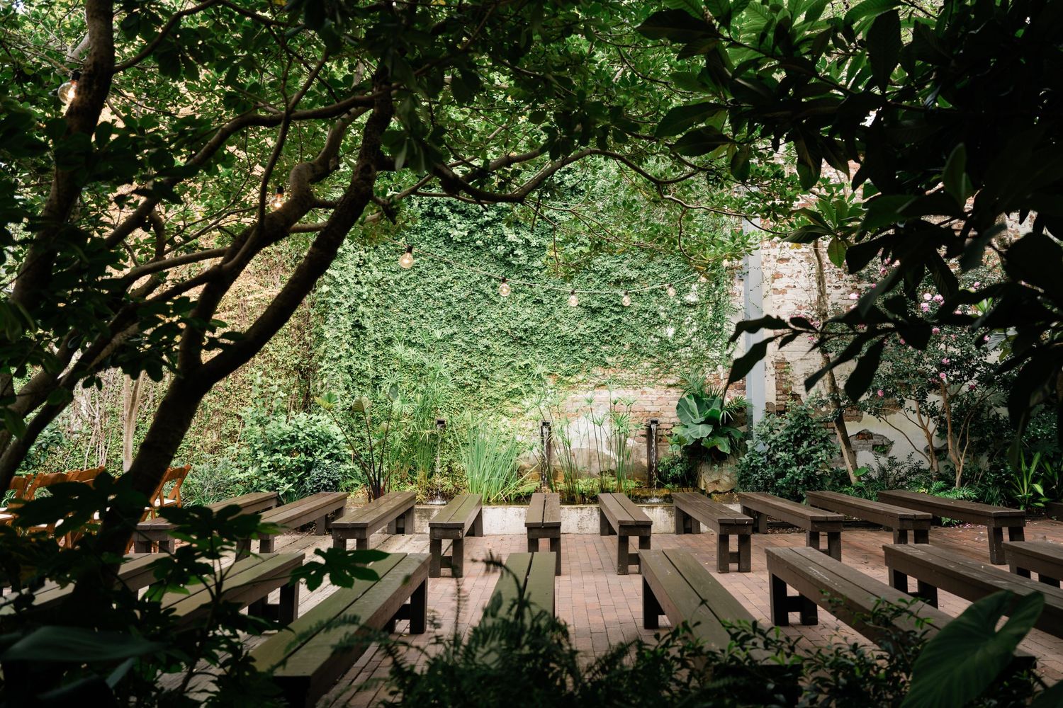 Wedding ceremony space with wooden benches arranged in rows beneath lush green trees and string lights.
