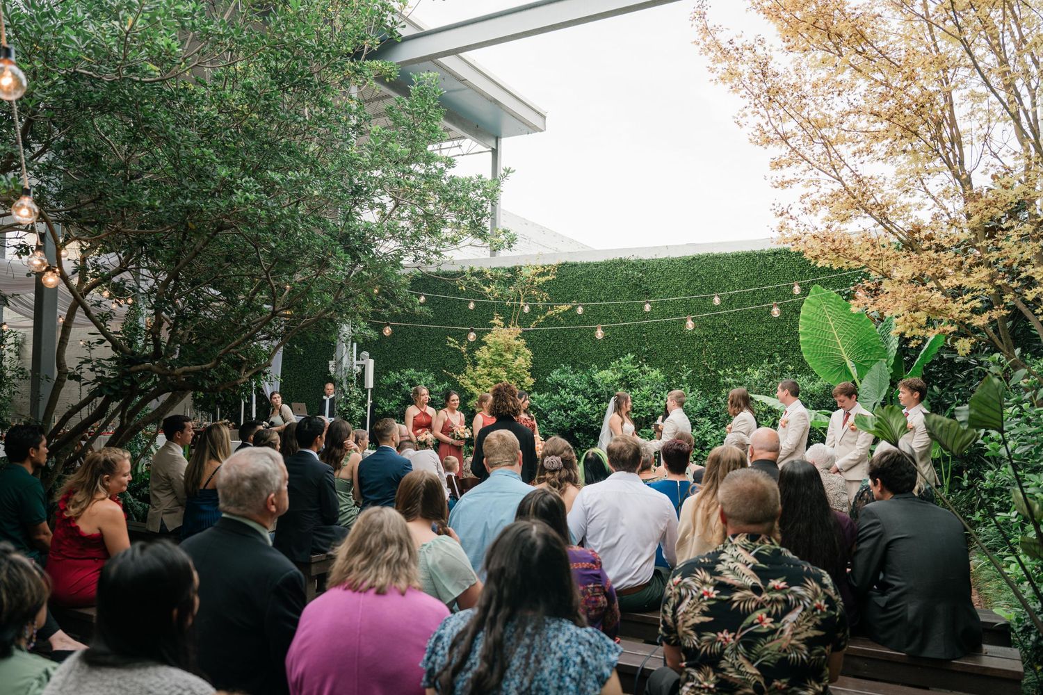 Outdoor garden wedding ceremony with guests seated facing a lush green wall backdrop.