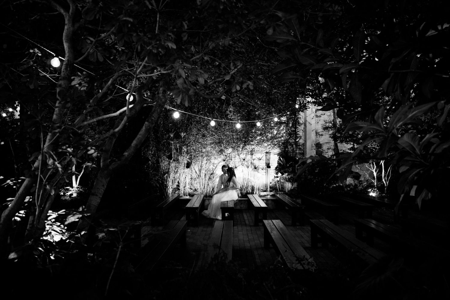 Illuminated pathway through trees at night with glowing lights creating a magical atmosphere.