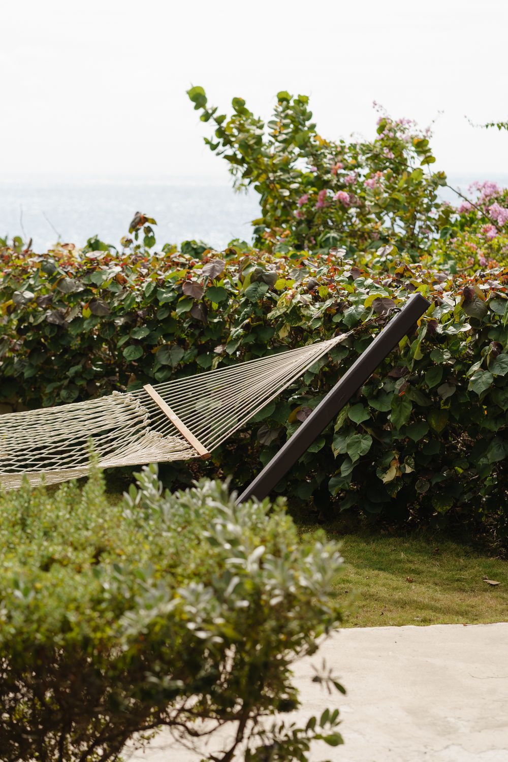 A rope hammock hangs between bushes with ocean views, surrounded by lush greenery and flowering shrubs.